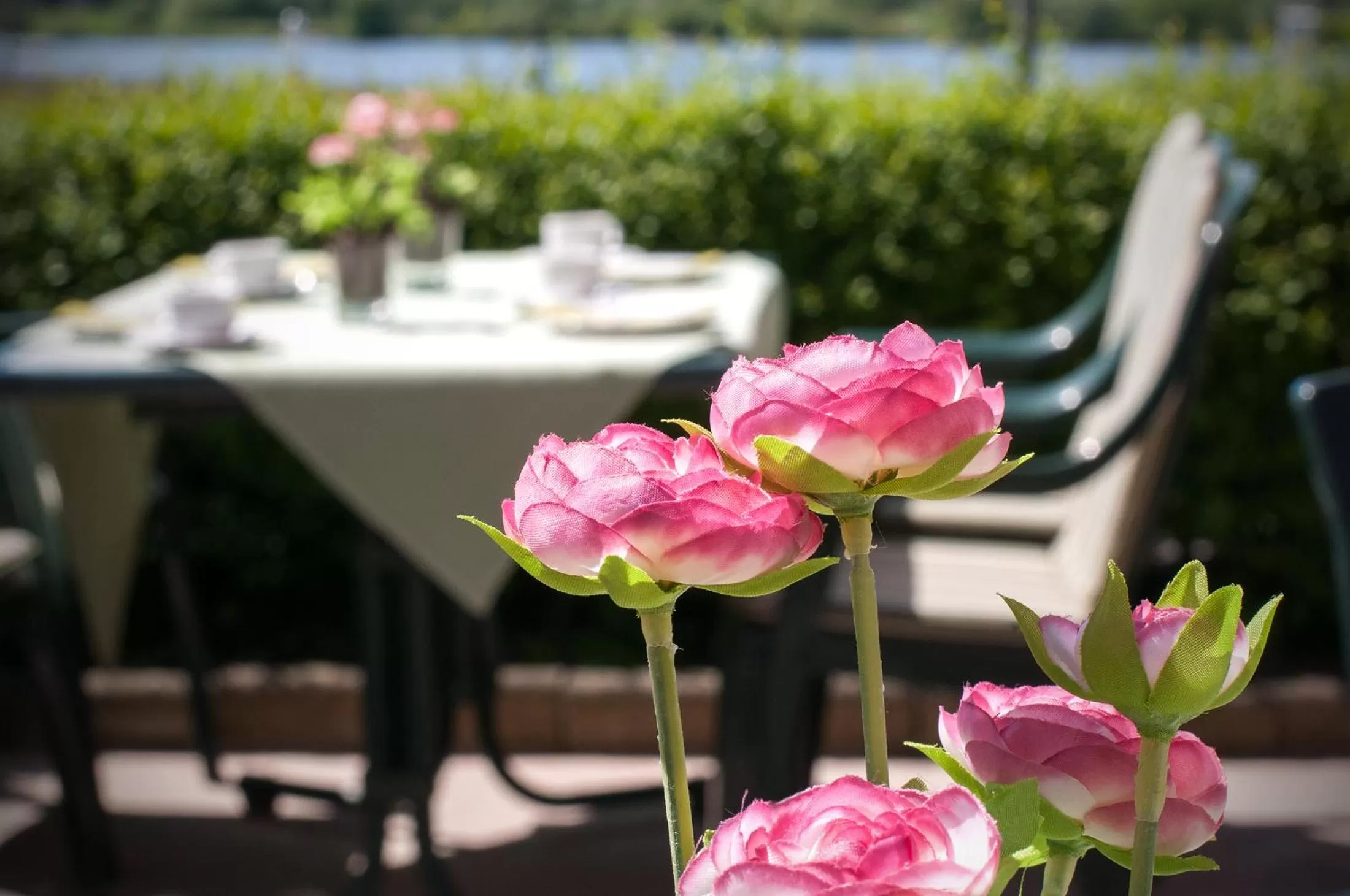 Restaurant/places to eat in Hotel Elbblick Garni