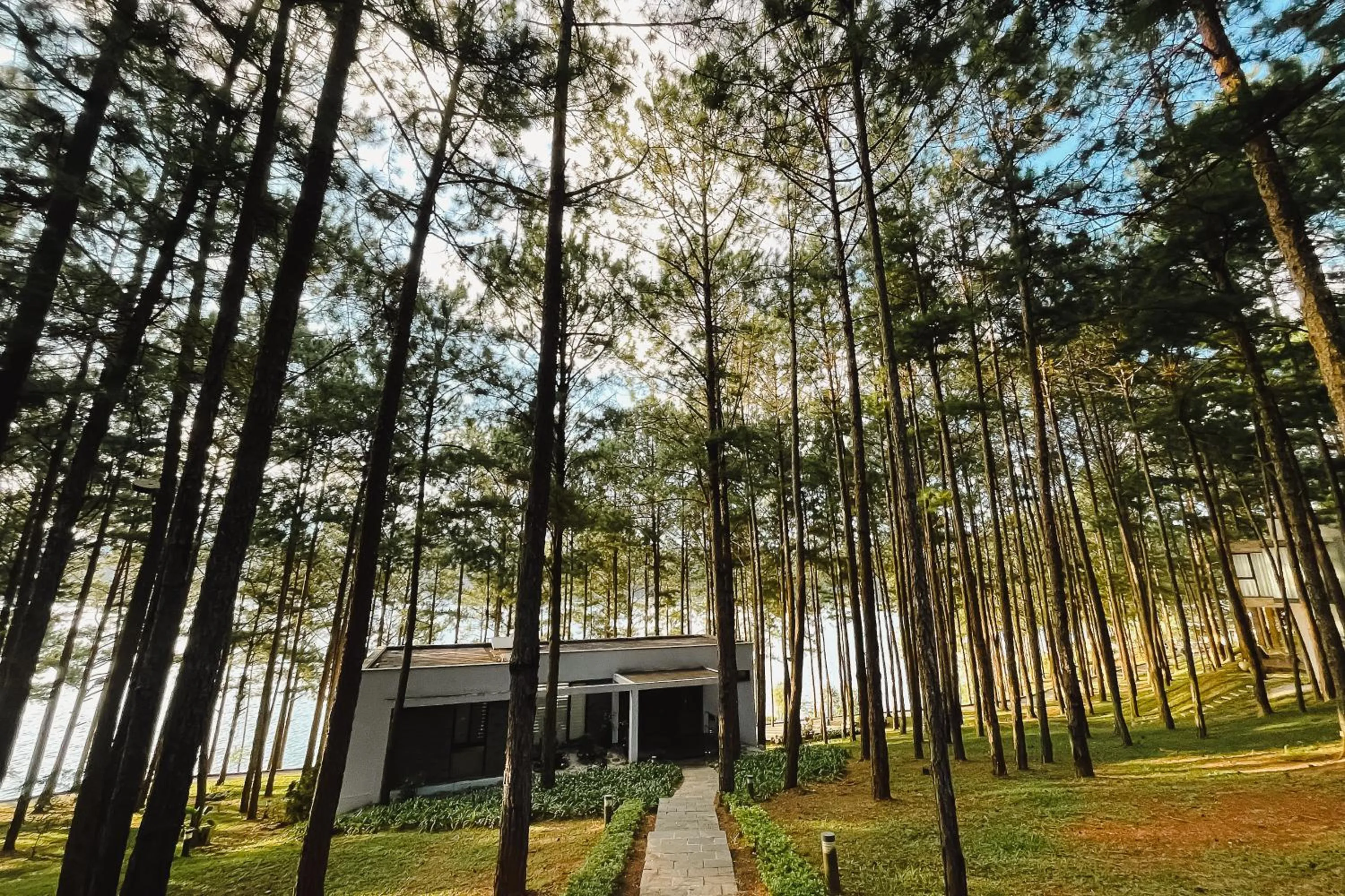 Spring in Terracotta Hotel & Resort Dalat