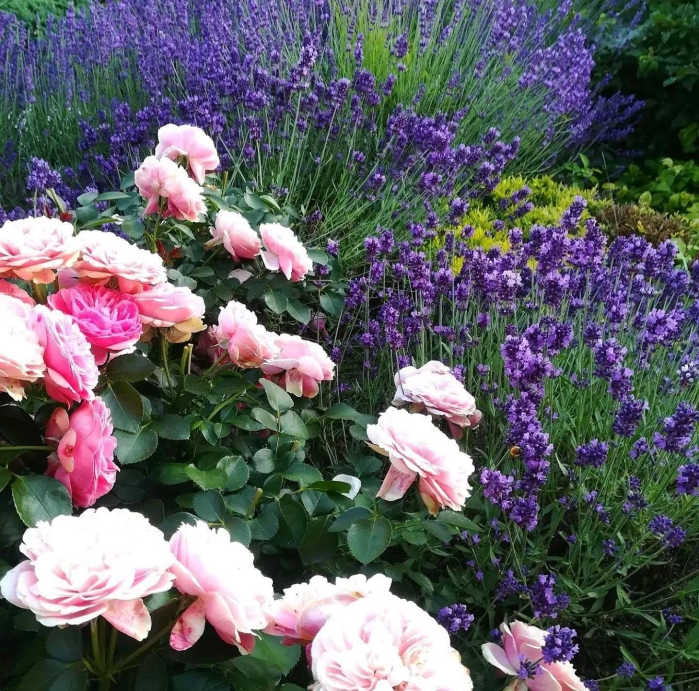 Property building in VILLA EDEN