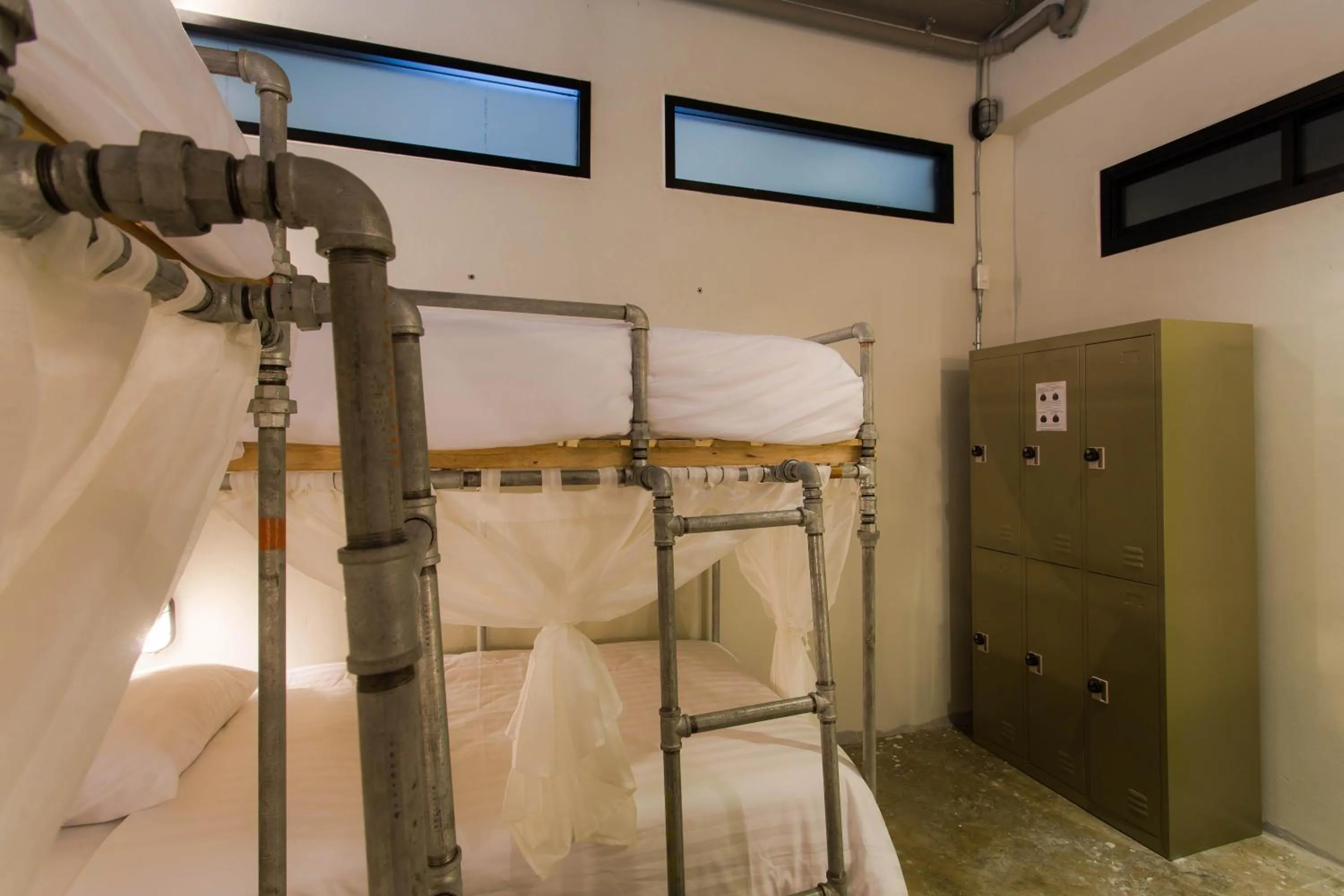 Staff, Bed in Bloo Hostel