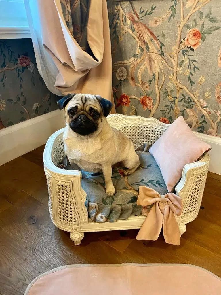 Pets in Antica Dimora Desenzano