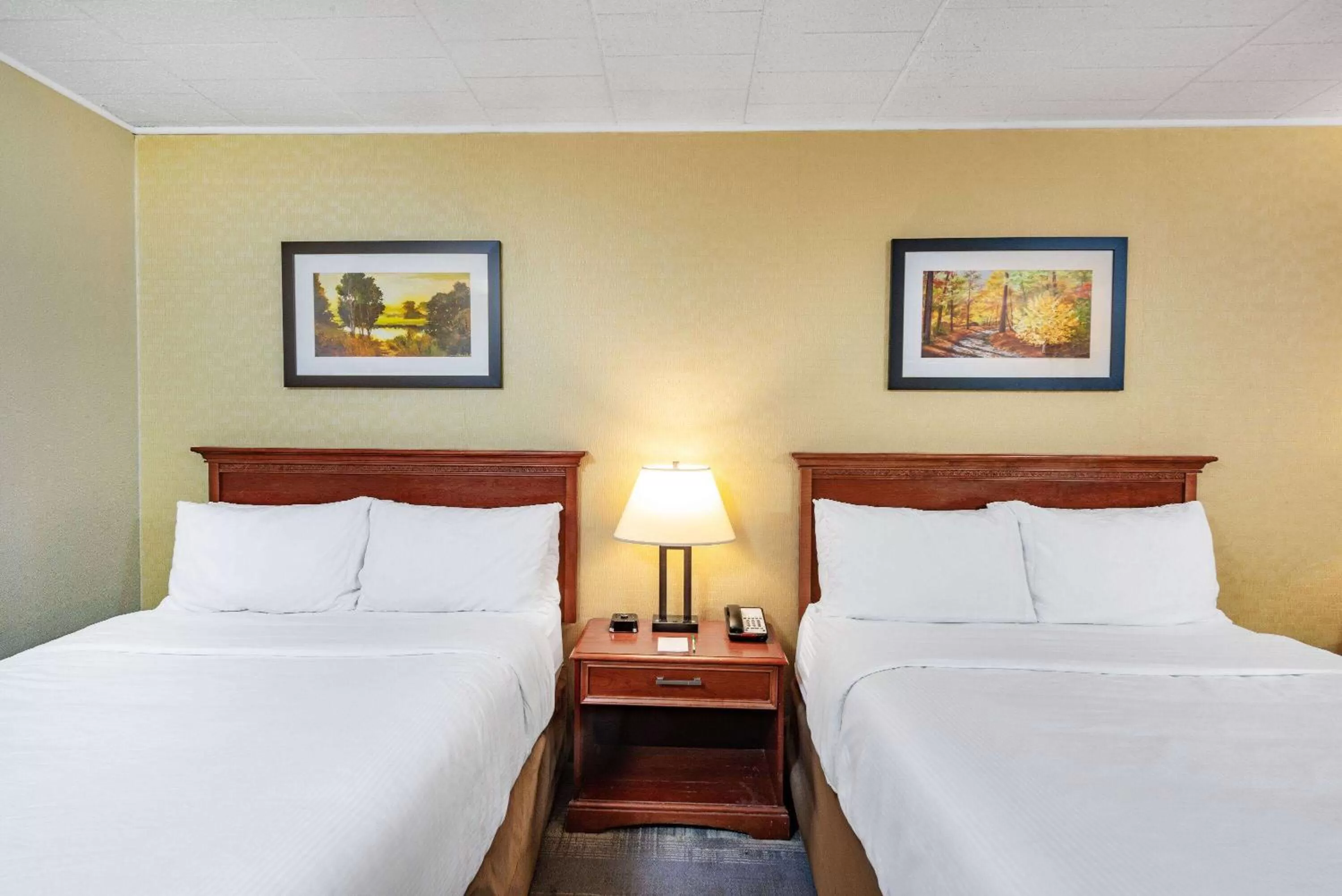 Photo of the whole room, Bed in Wyndham Garden York