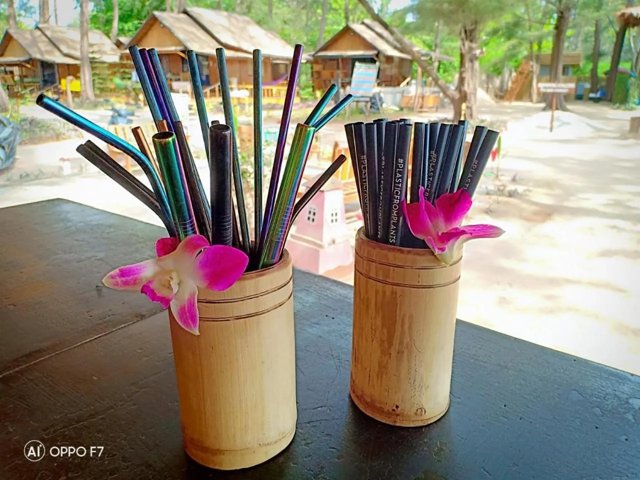 Day in Eco Lanta Hideaway Beach Resort