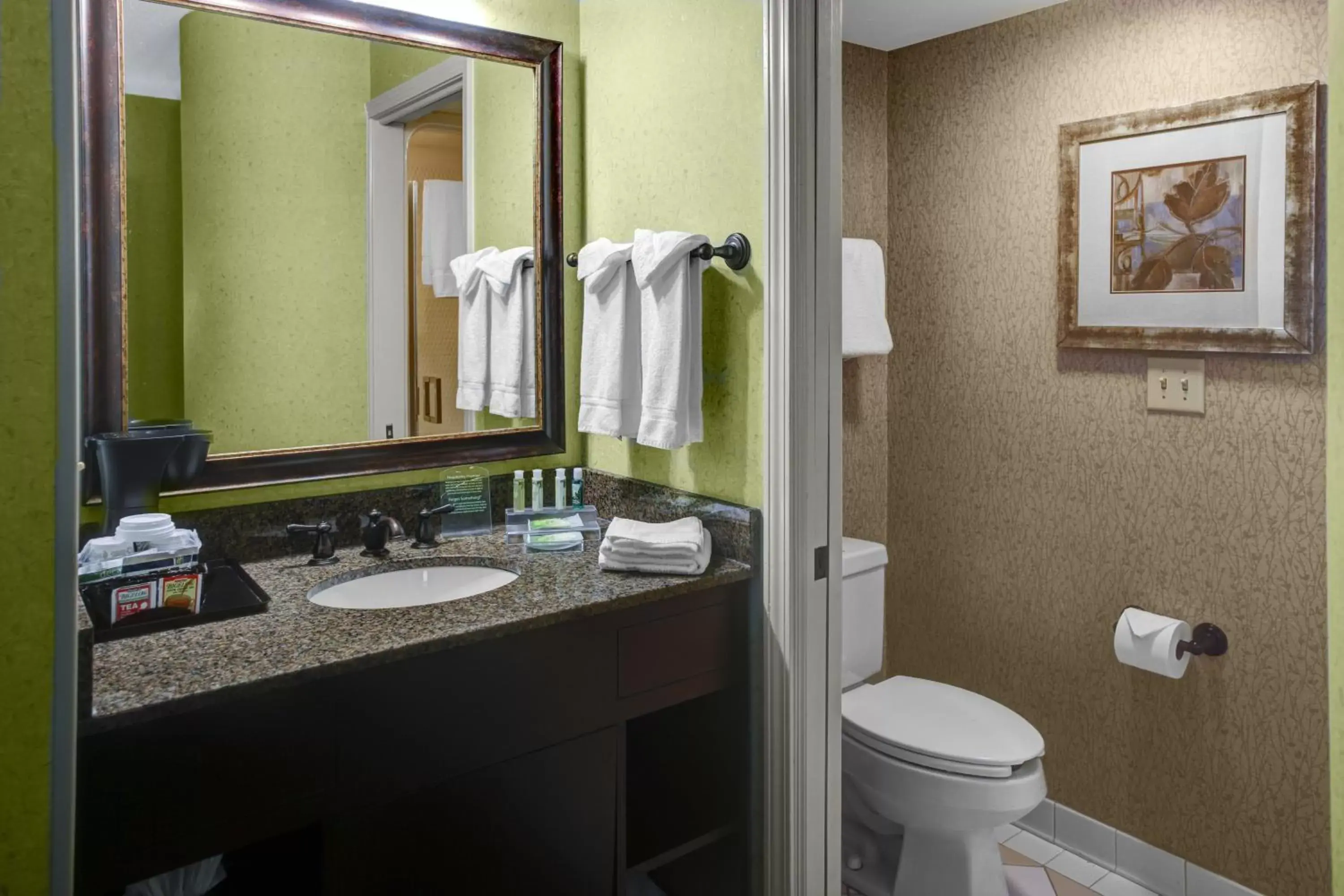 Standard Double Room with Two Double Beds in Holiday Inn Express Hotel & Suites Atlanta Buckhead by IHG Standard Double Room with Two Double Beds in Holiday Inn Express Hotel & Suites Atlanta Buckhead by IHG