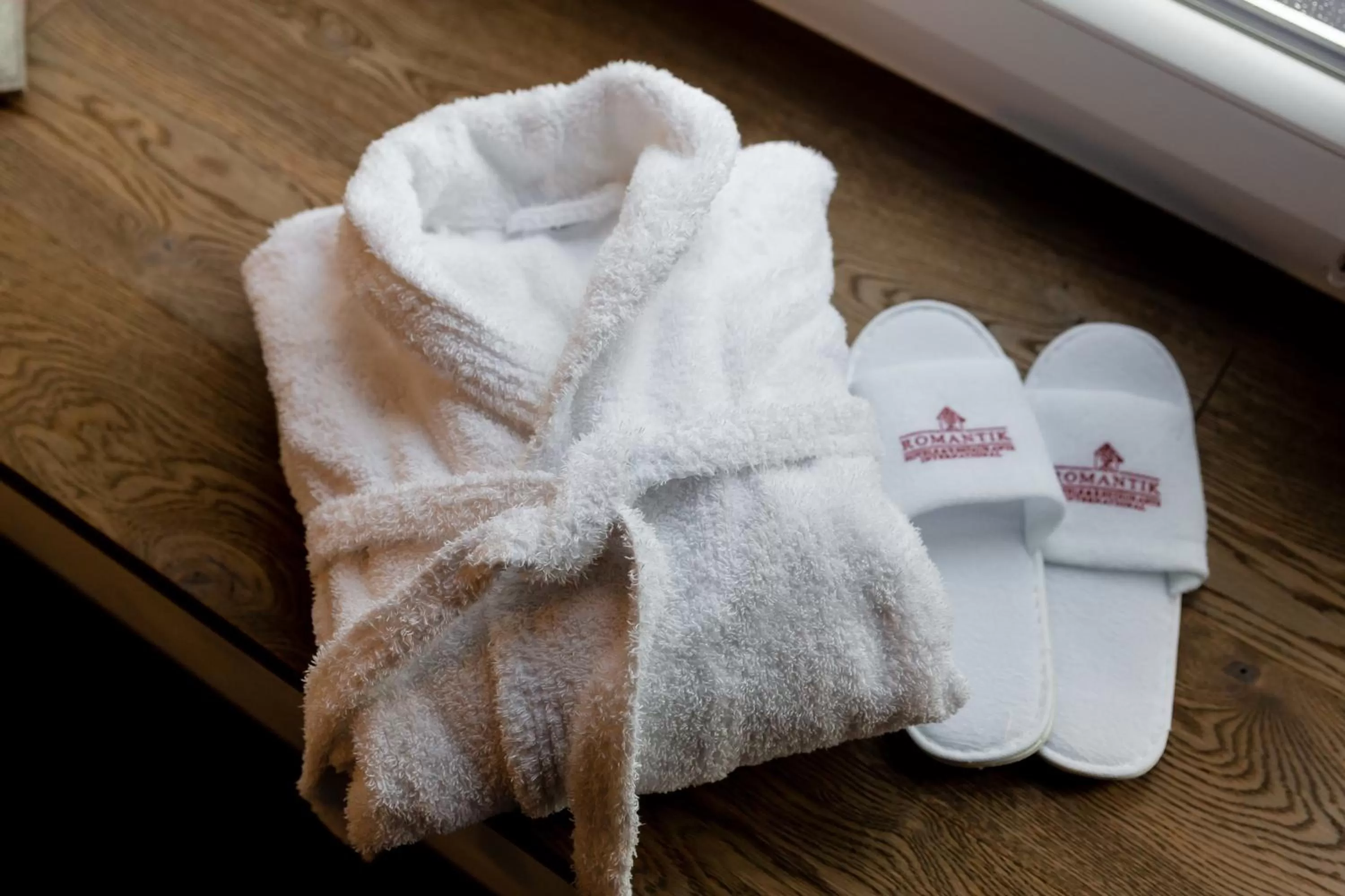 Other in Parkhotel FRITZ am Brunnen