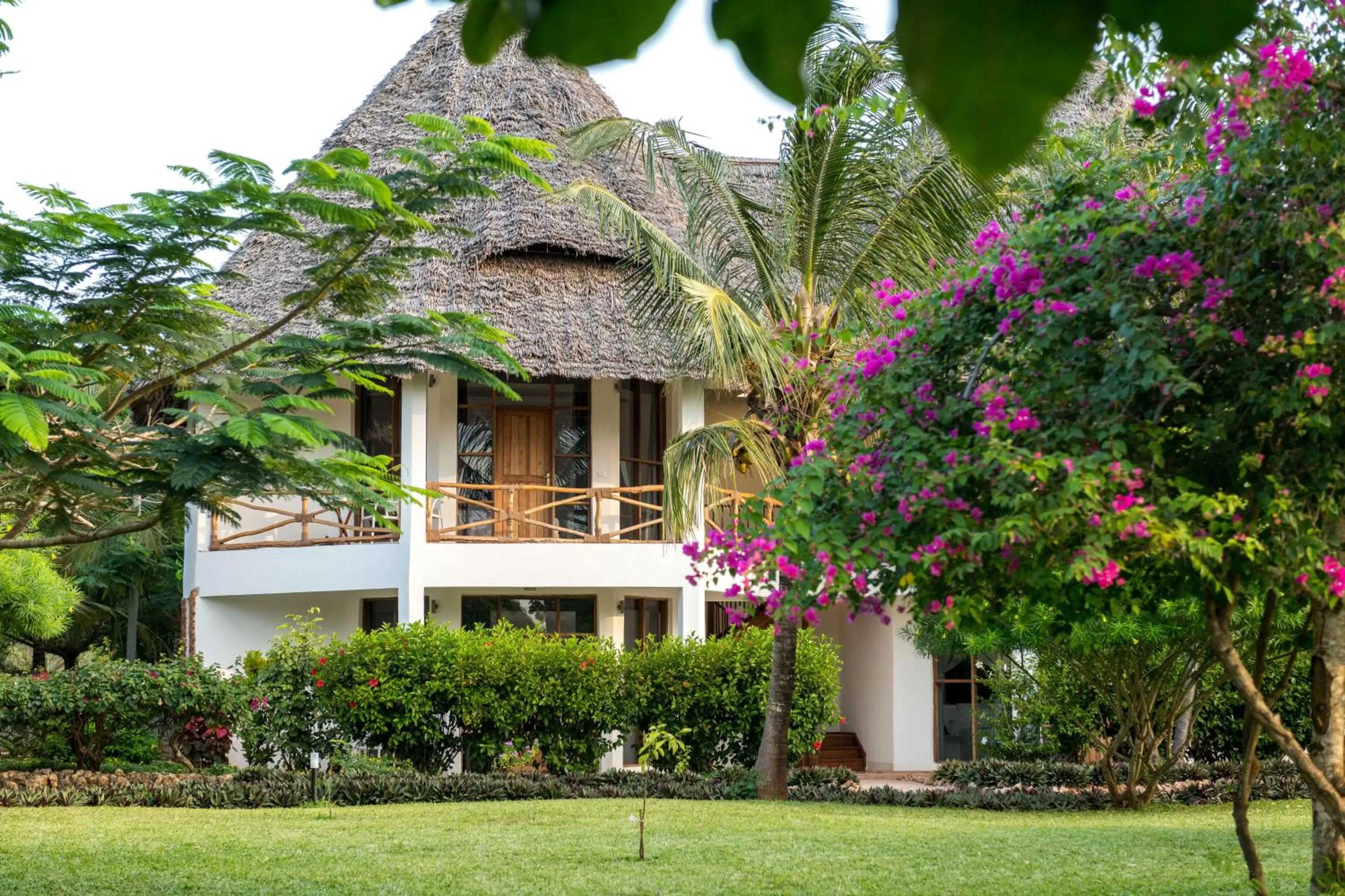 Other in Sandies Baobab Beach Zanzibar