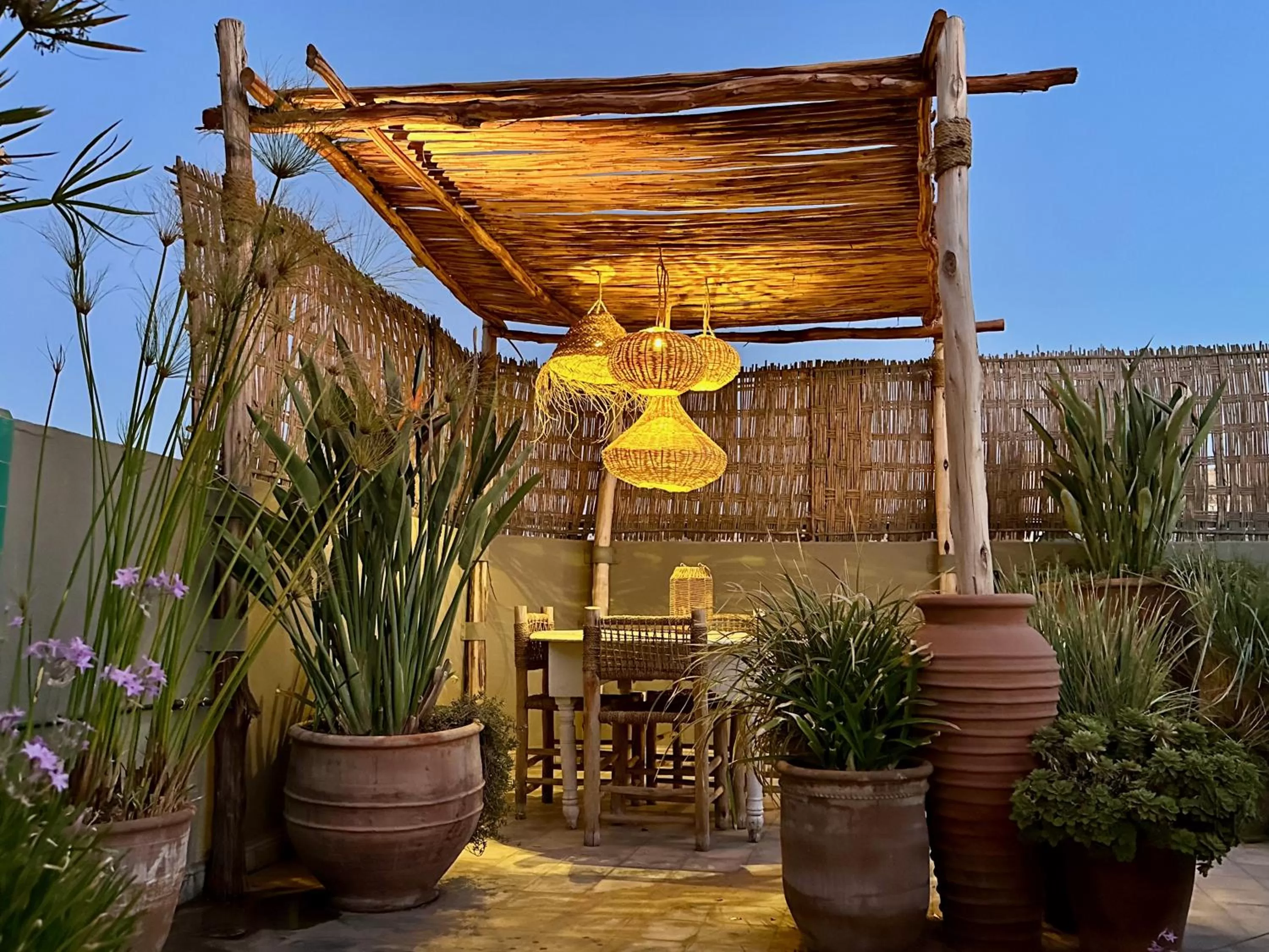 Garden in Riad Dar Chacha