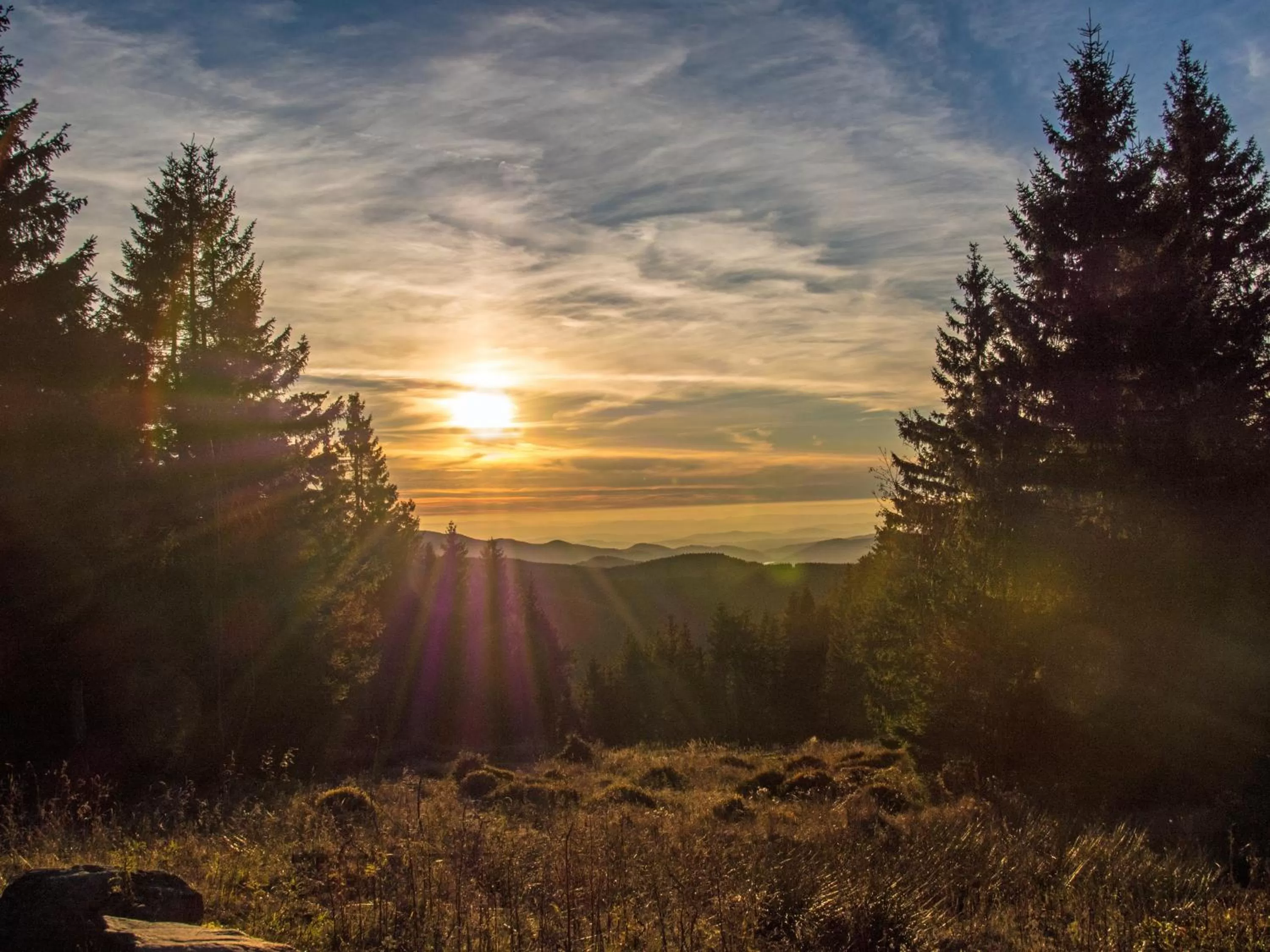 Natural landscape in Hotel Zum Harzer