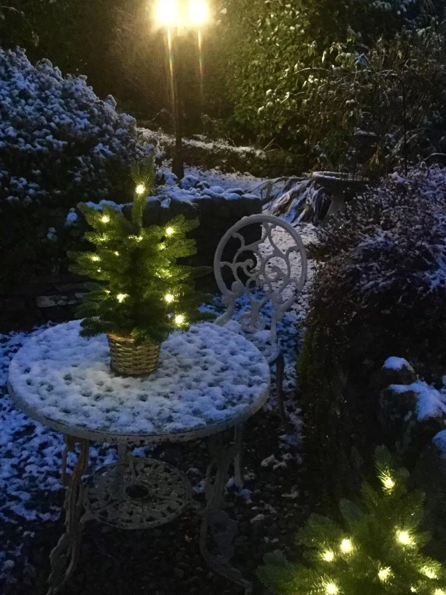 Patio in Storrs Gate House