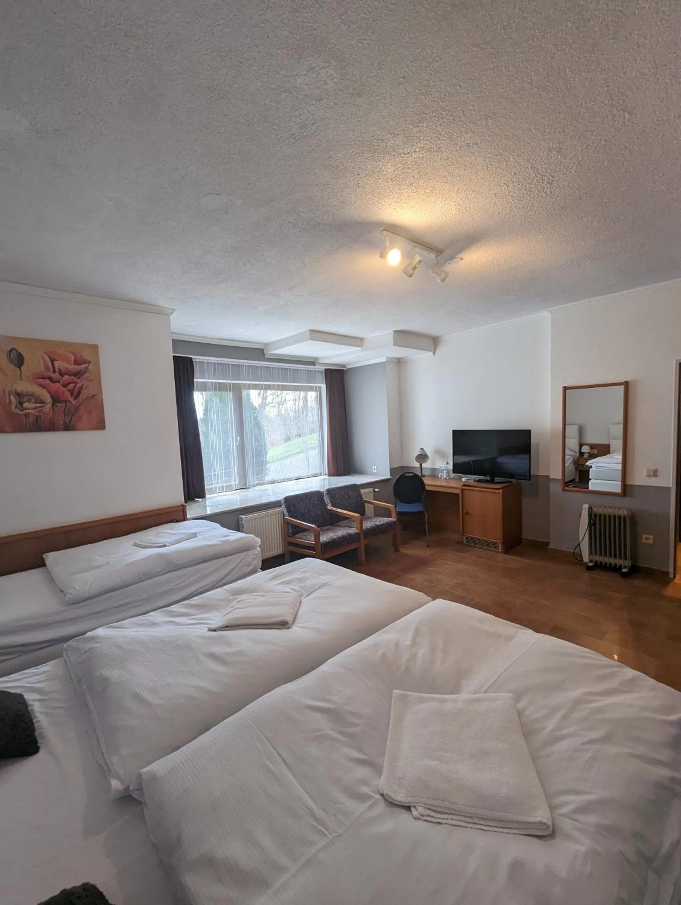 Hotel Eiserner Anton