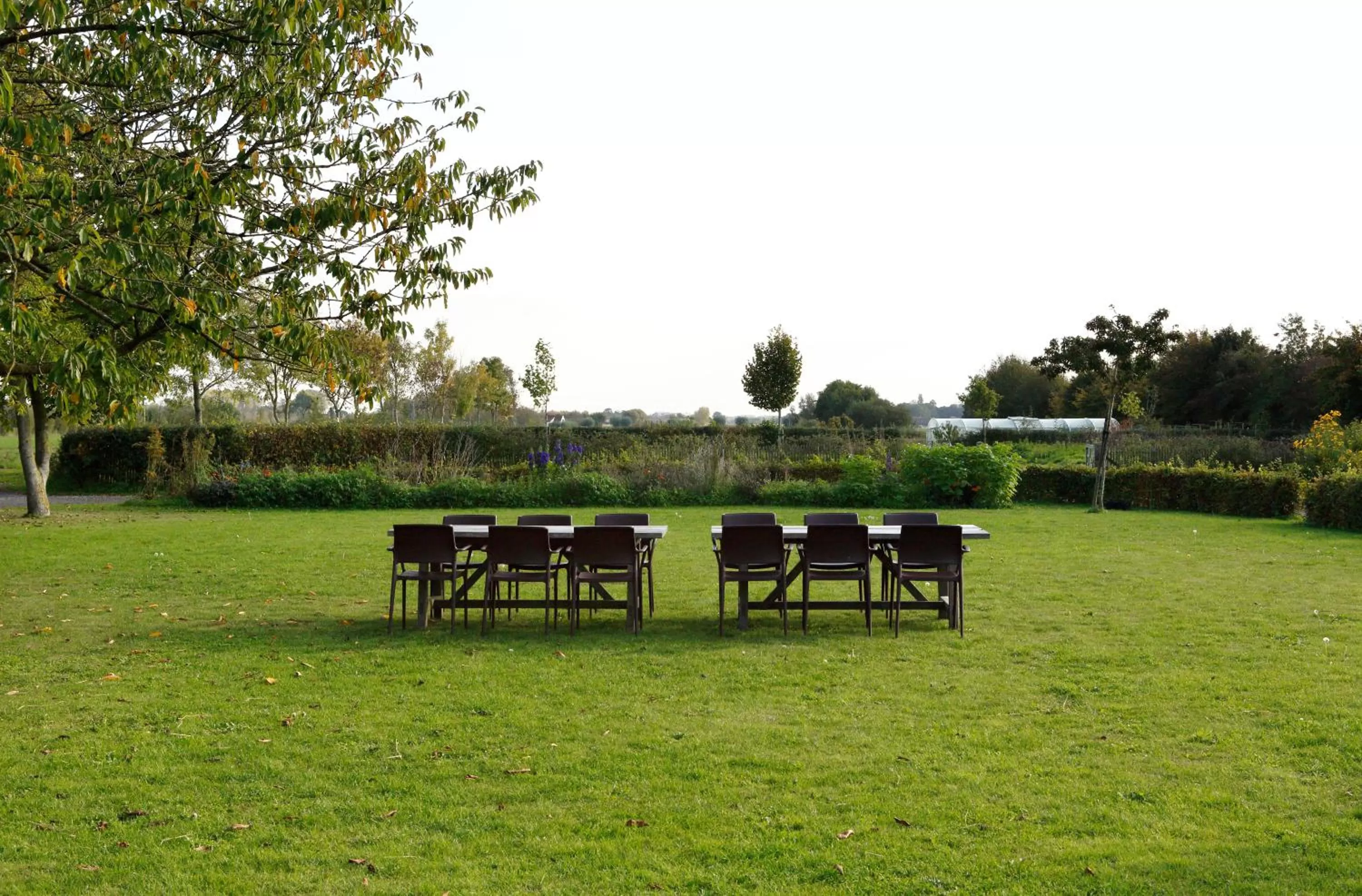 Garden in De Grote Wateringe