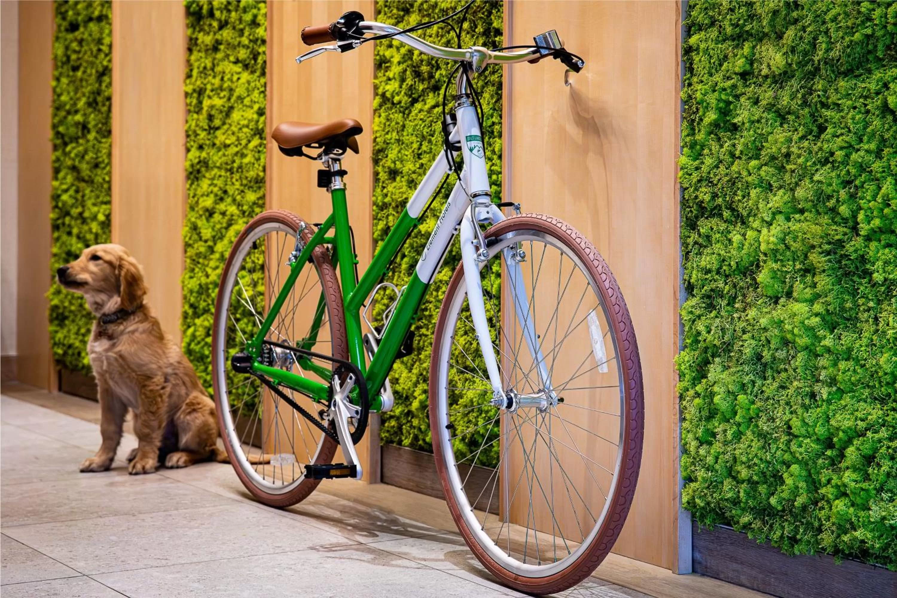 Area and facilities in Element Salt Lake City Downtown