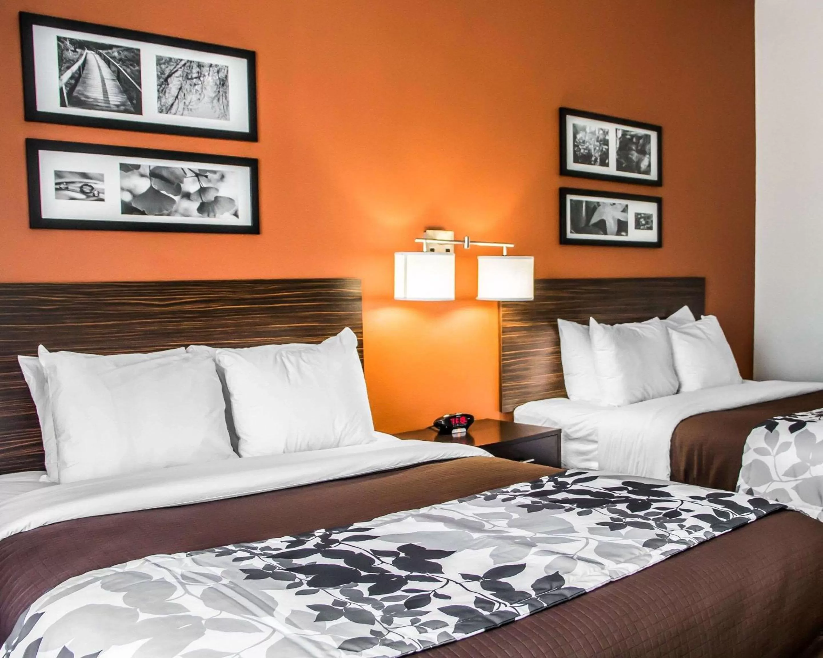 Photo of the whole room, Bed in Sleep Inn & Suites Blackwell I-35