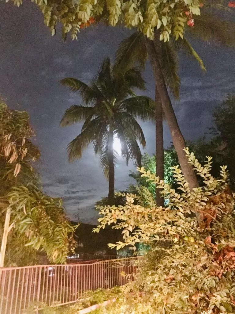 Natural landscape in Hotel Posada Señor Mañana