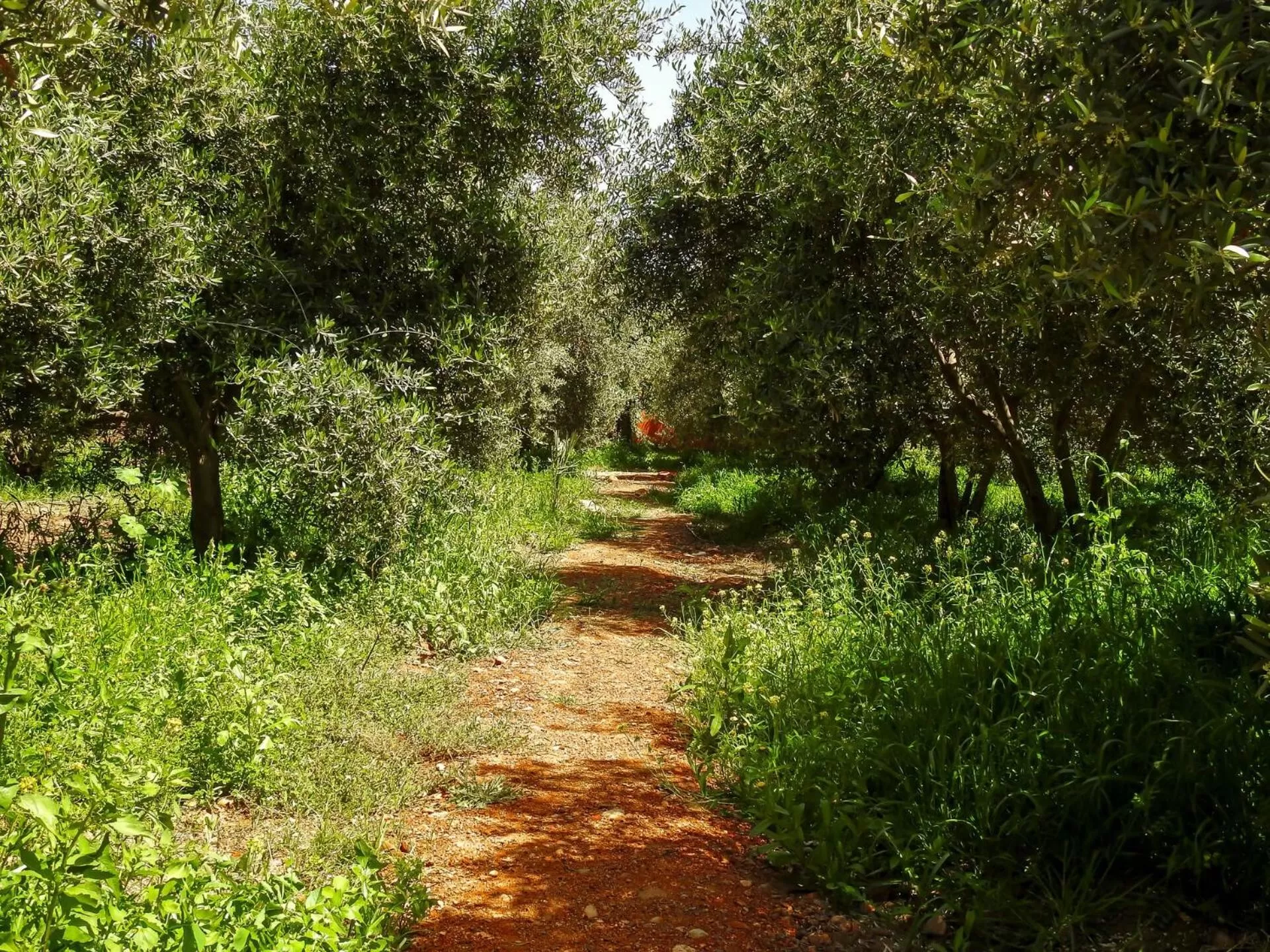 Garden in Le Bleu House