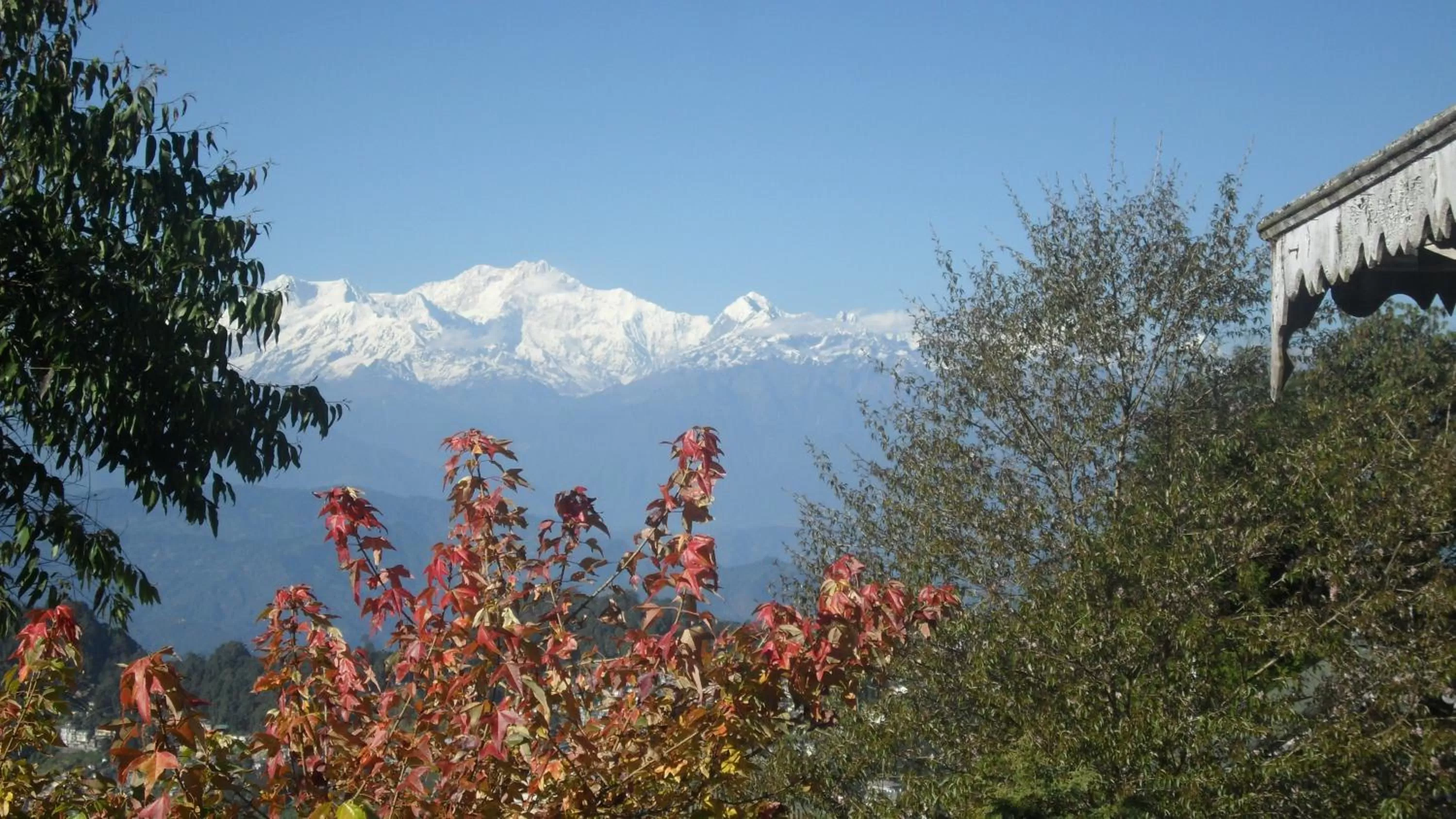 Natural landscape in Cedar Inn