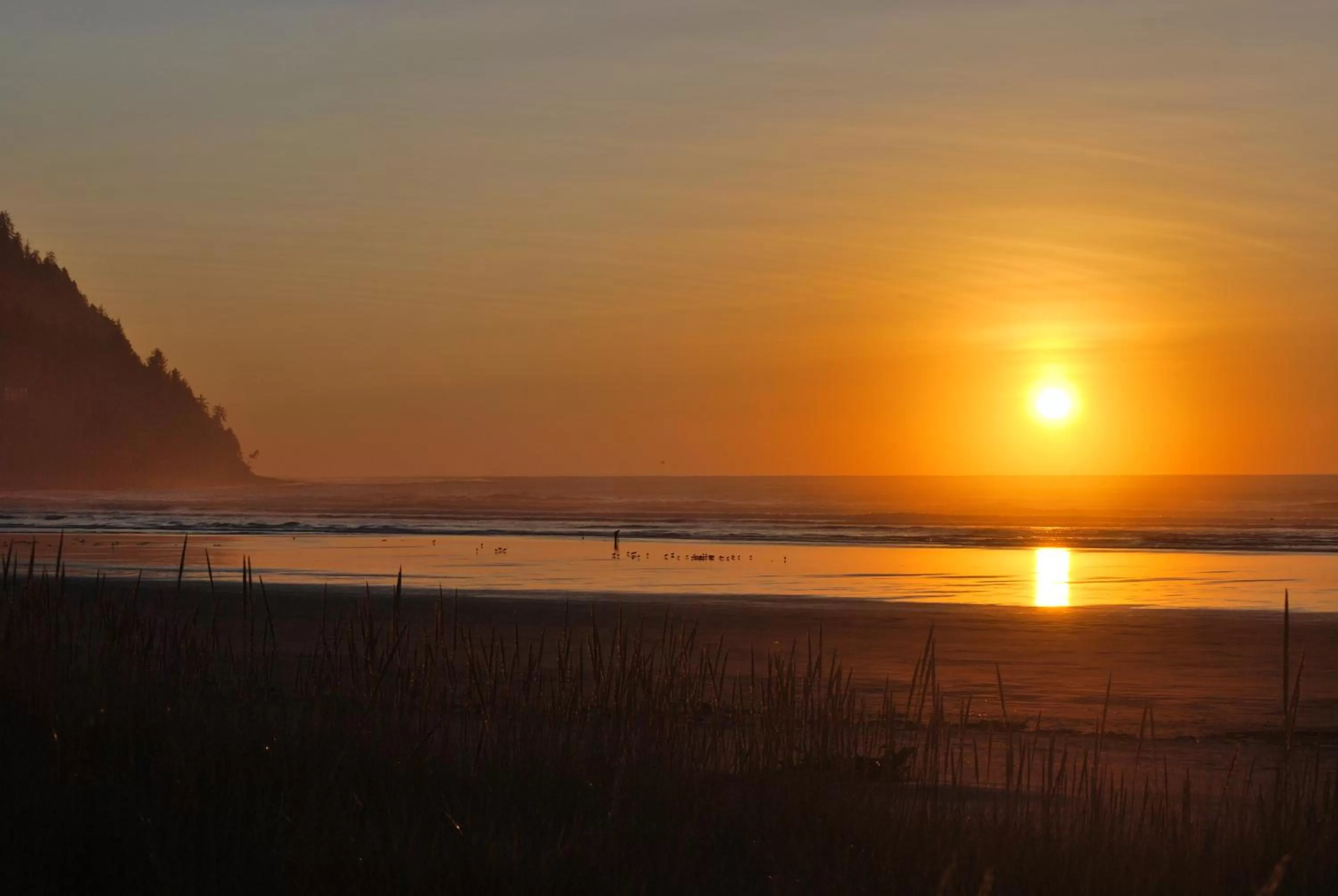 Natural landscape in Inn at the Shore