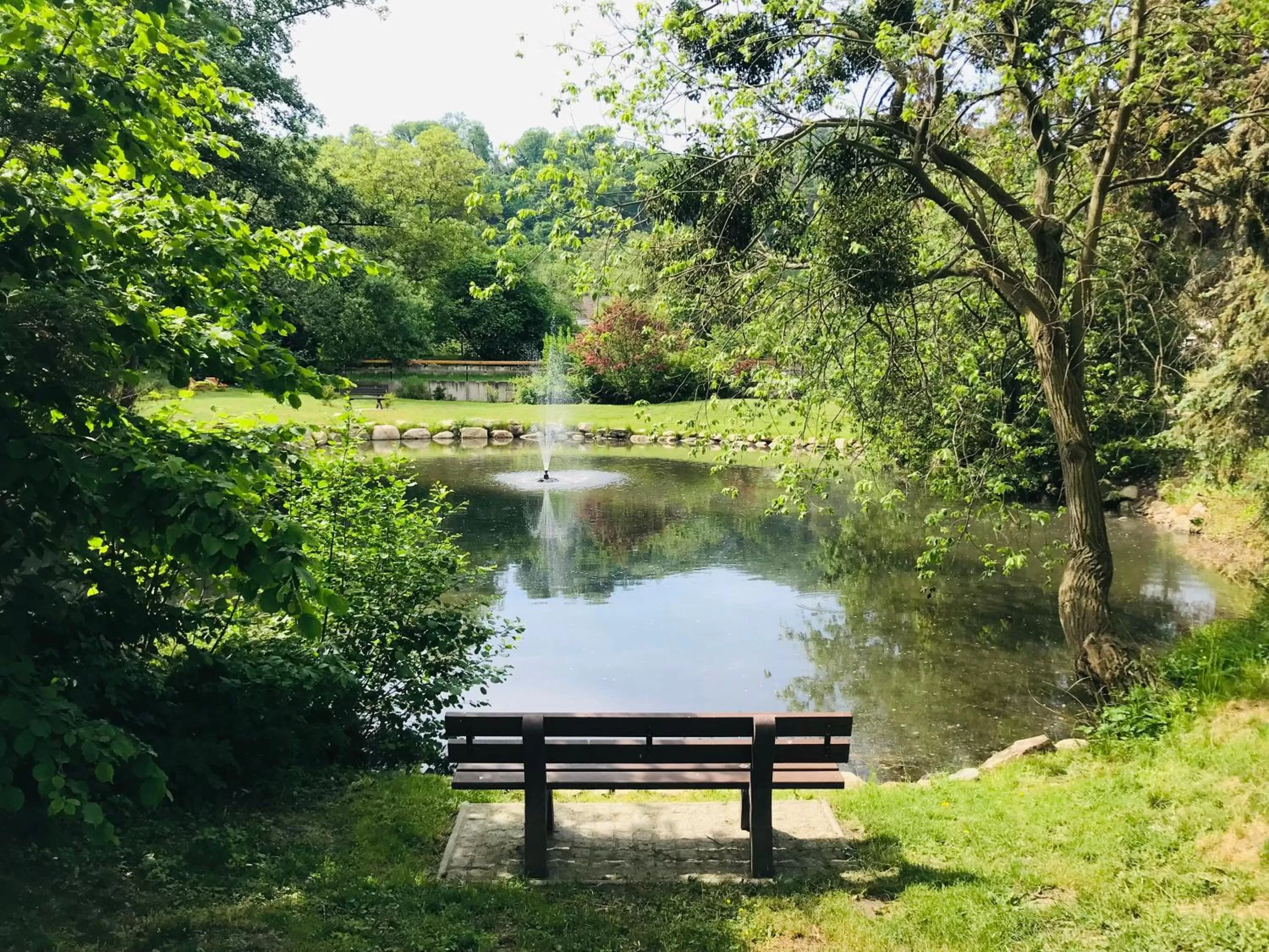 Garden in Schlosshotel Stecklenberg