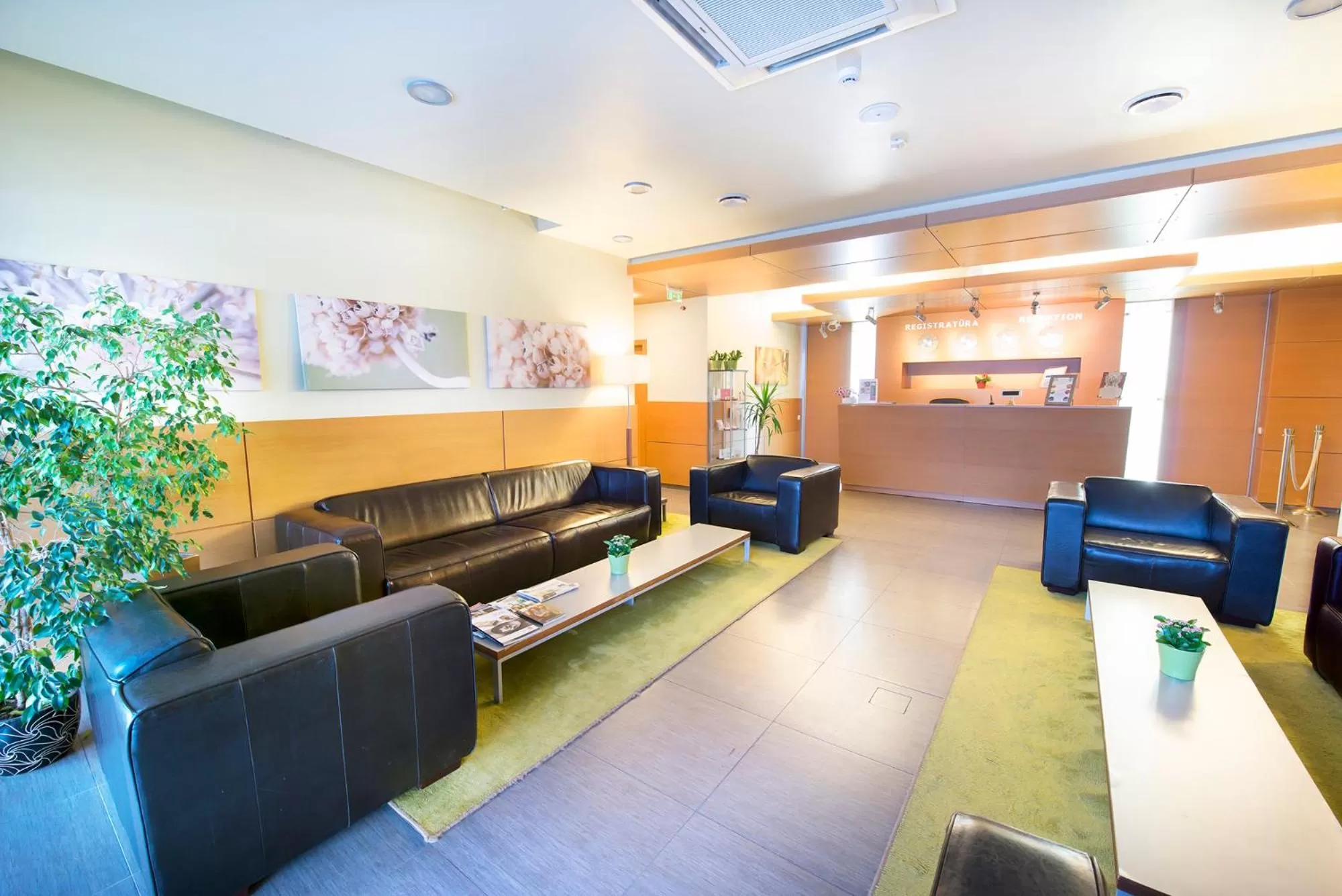 Lobby or reception in De Lita