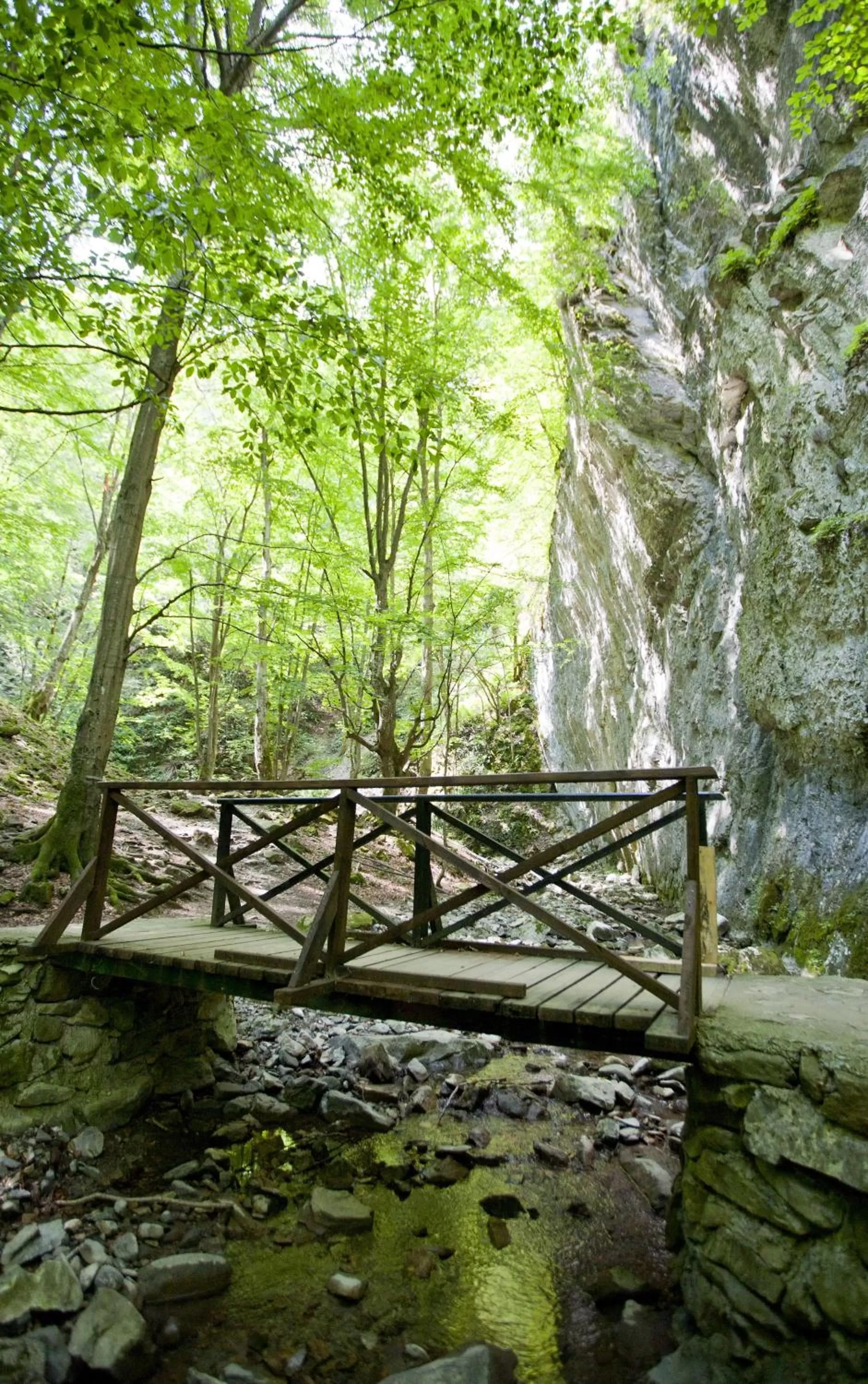 Landmark view, Garden in Family Hotel Teteven