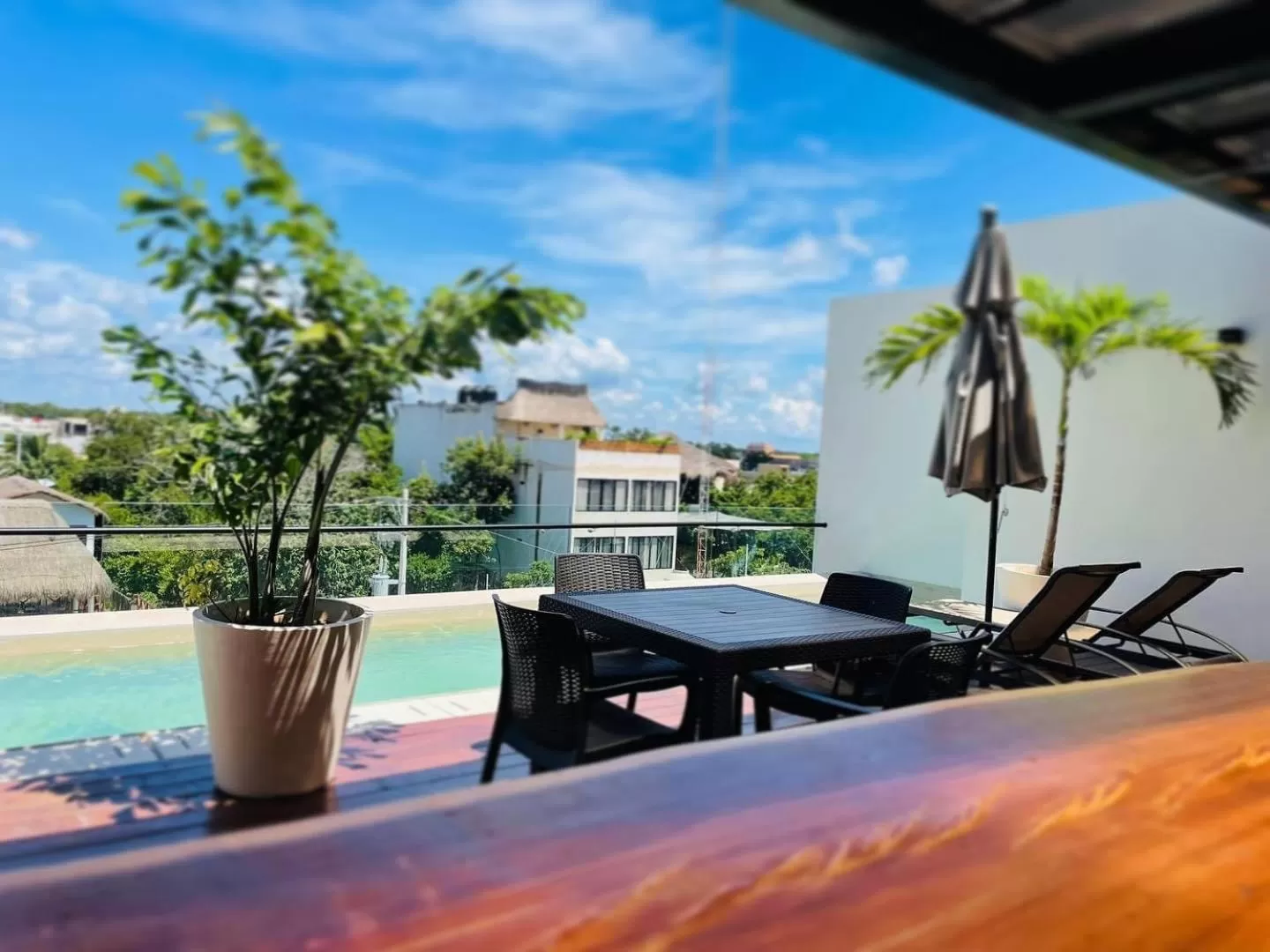 Pool view in Moonshine Tulum Hotel & Hostel