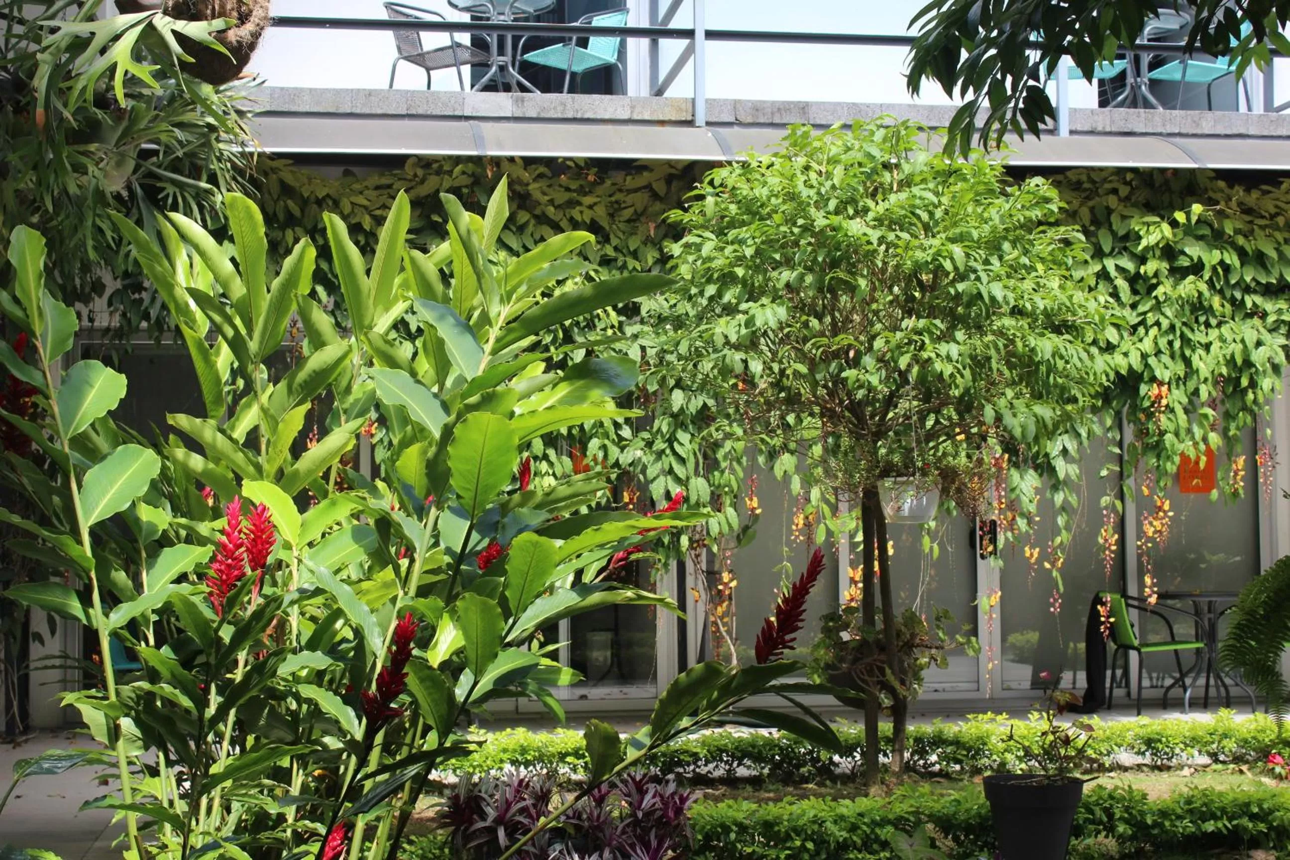 Cando Living Apartments in Central Avenue