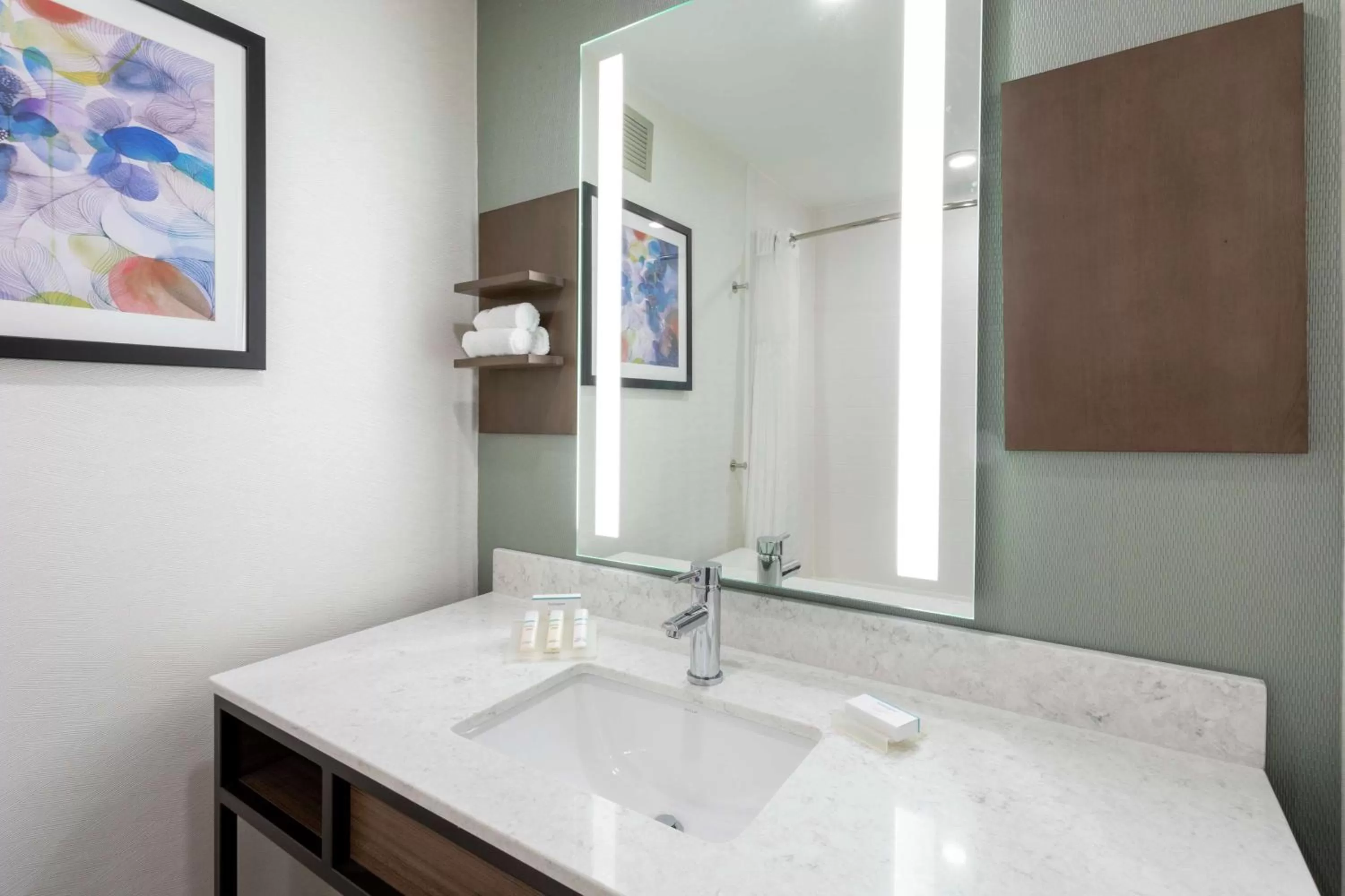 Bathroom in Hilton Garden Inn Minneapolis/Bloomington