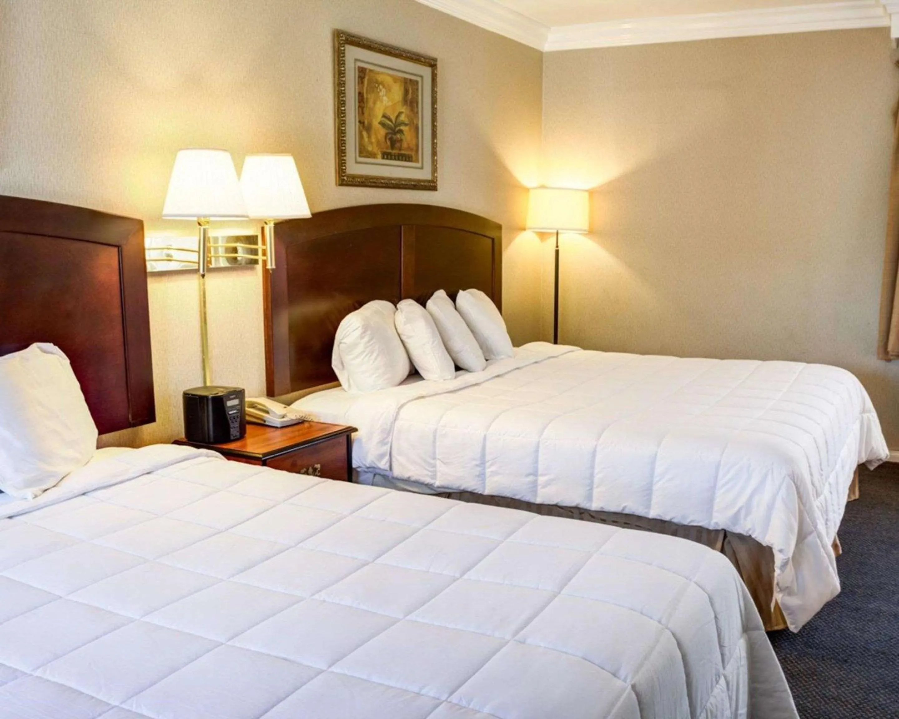 Photo of the whole room in Rodeway Inn near Venice Beach