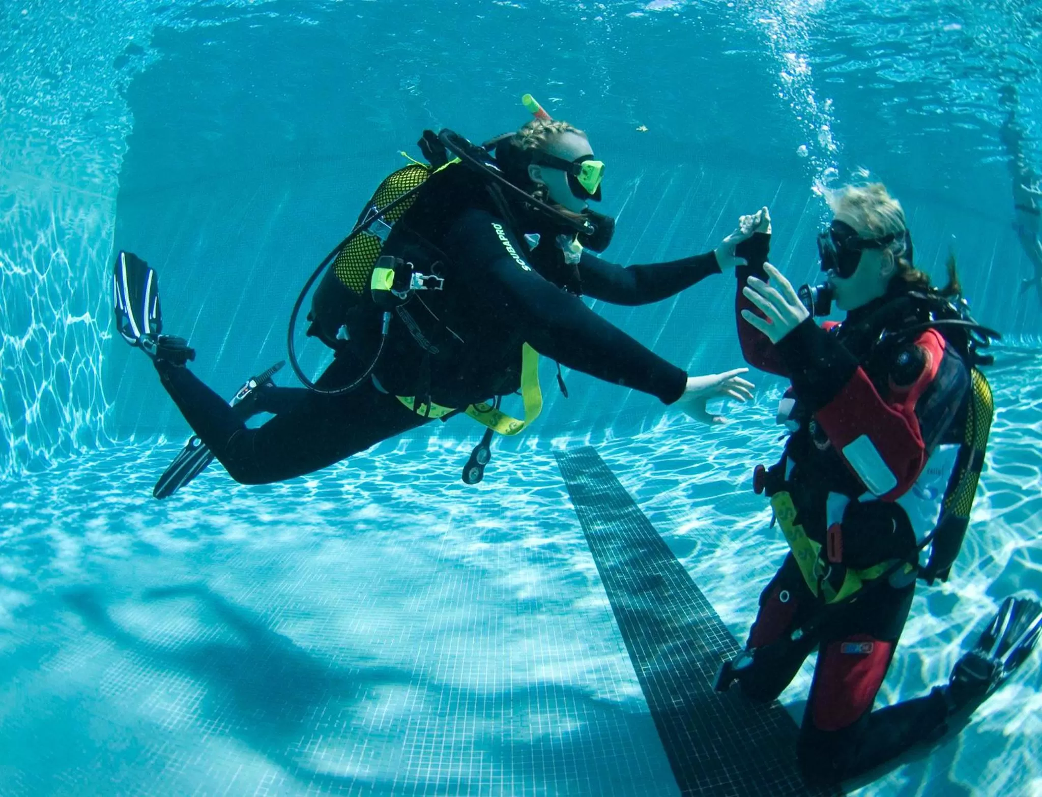 Diving in Dom Pedro Madeira