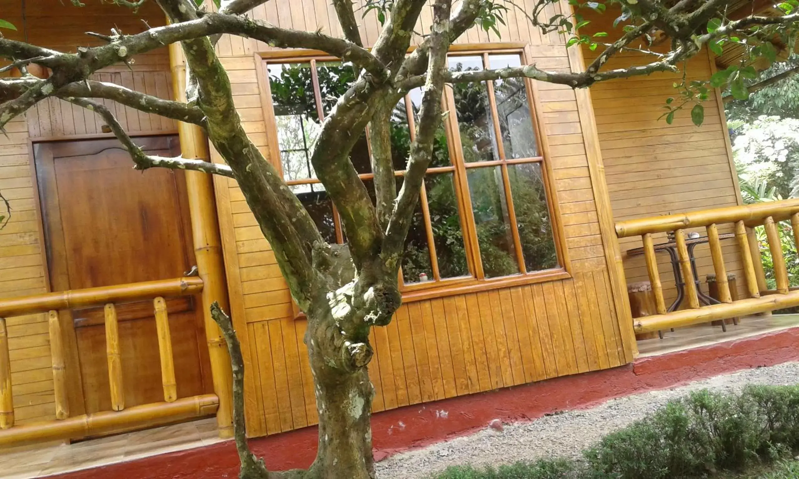 Twin Room in Estancia La Colina Twin Room in Estancia La Colina