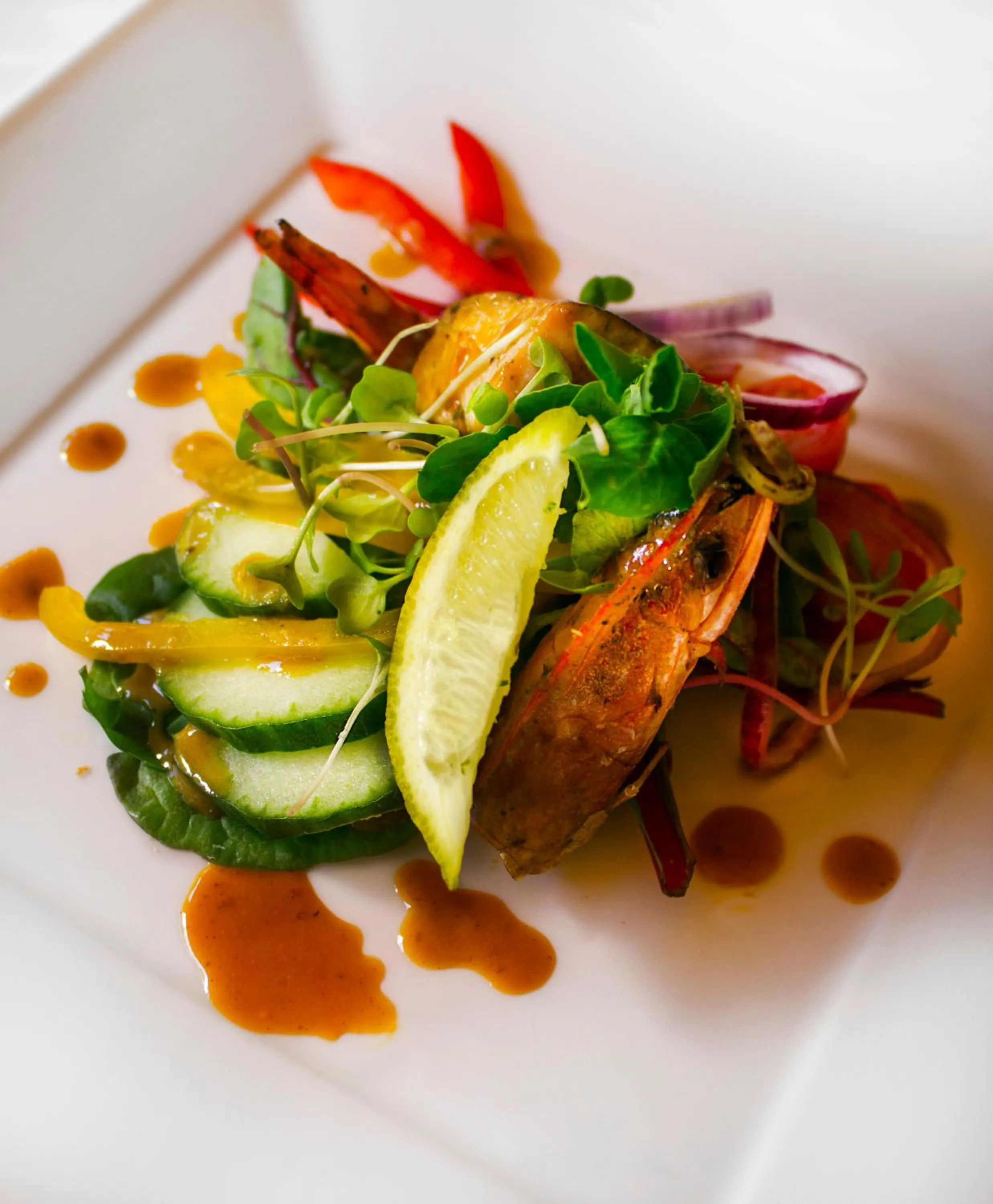 Food close-up in Sanbona Wildlife Reserve