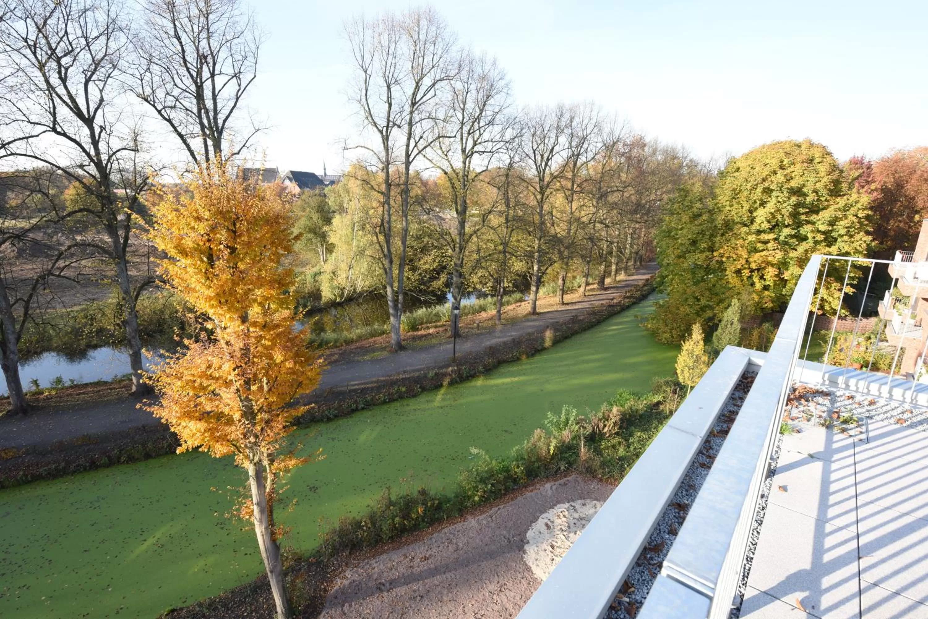 Garden view in Steverbett Hotel