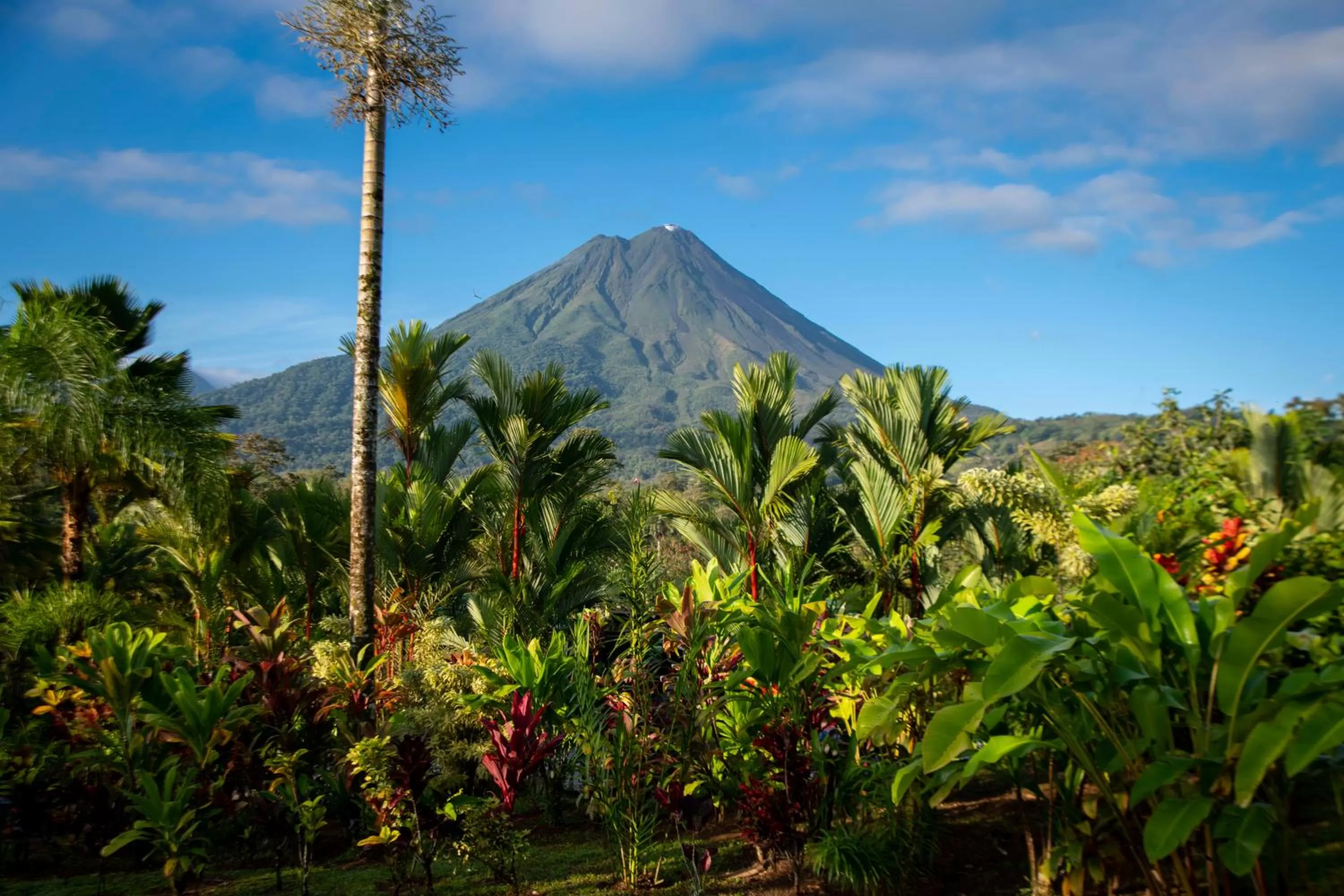 Mountain view in Arenal Manoa Resort & Hot Springs