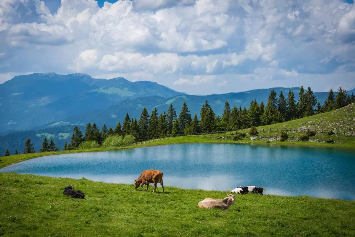 Spring in Wellness Hotel Montis