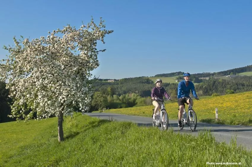 Cycling, Biking in Hotel Post Hönigwirt