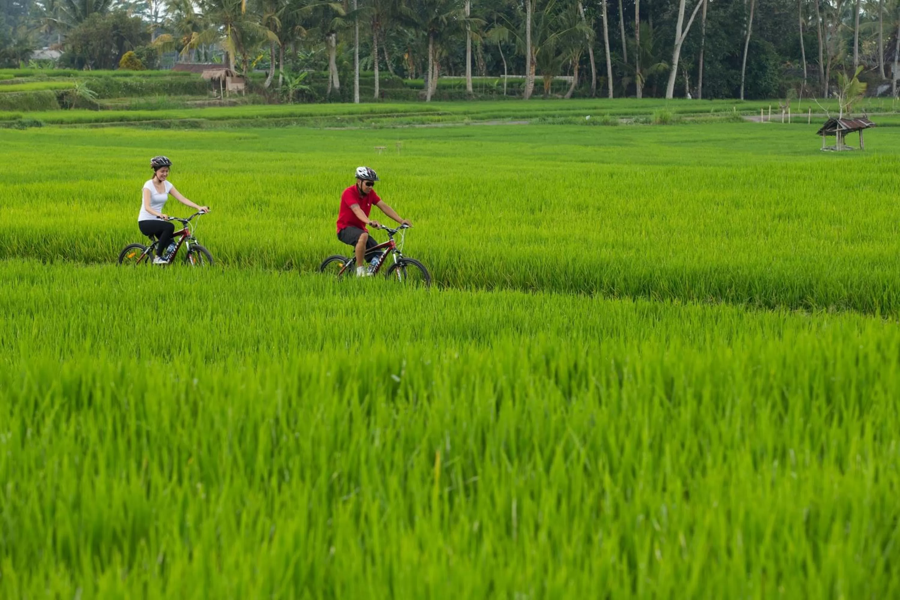 Natural landscape in Dwaraka The Royal Villas