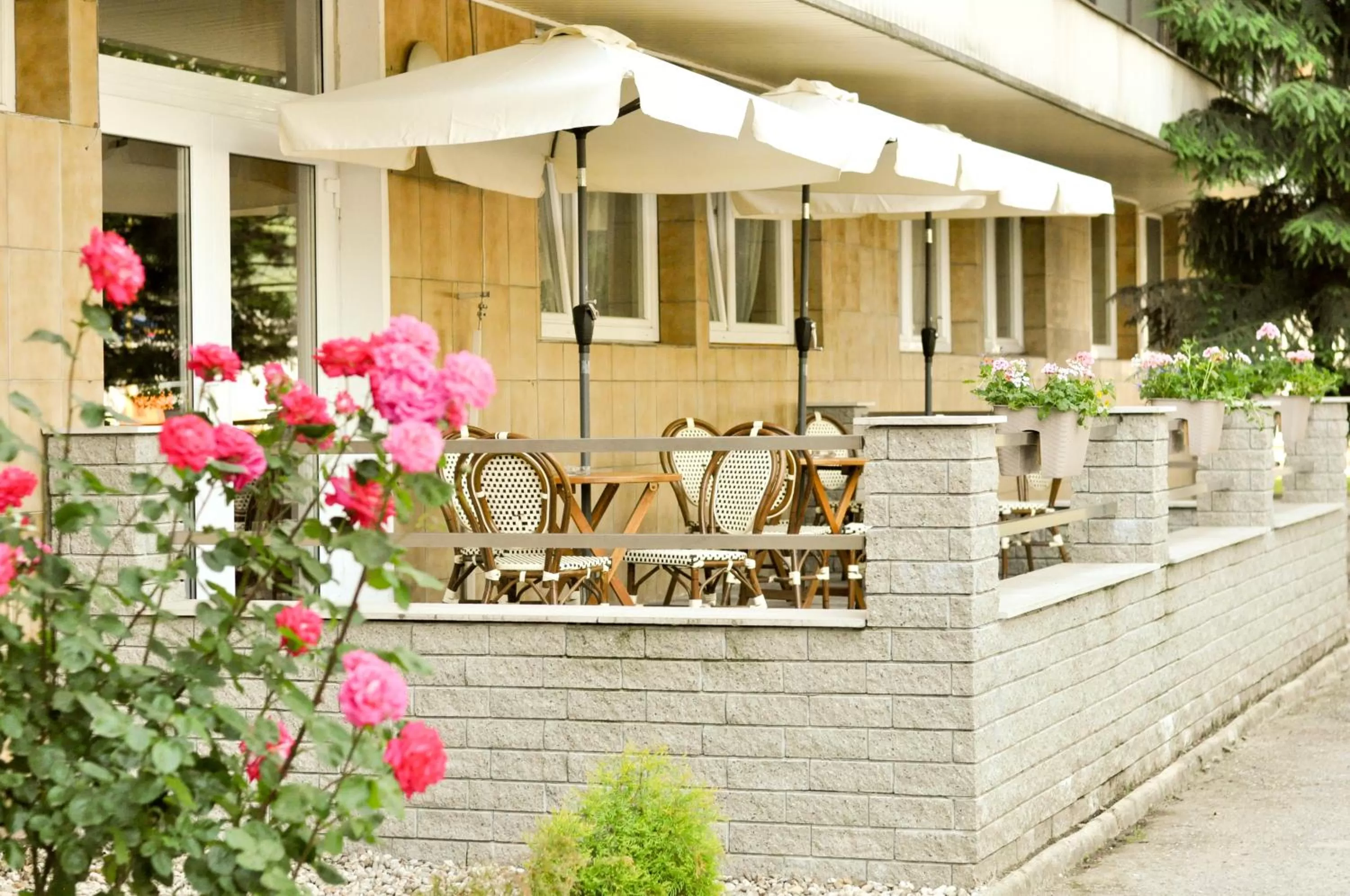 Patio in Hotel Garni