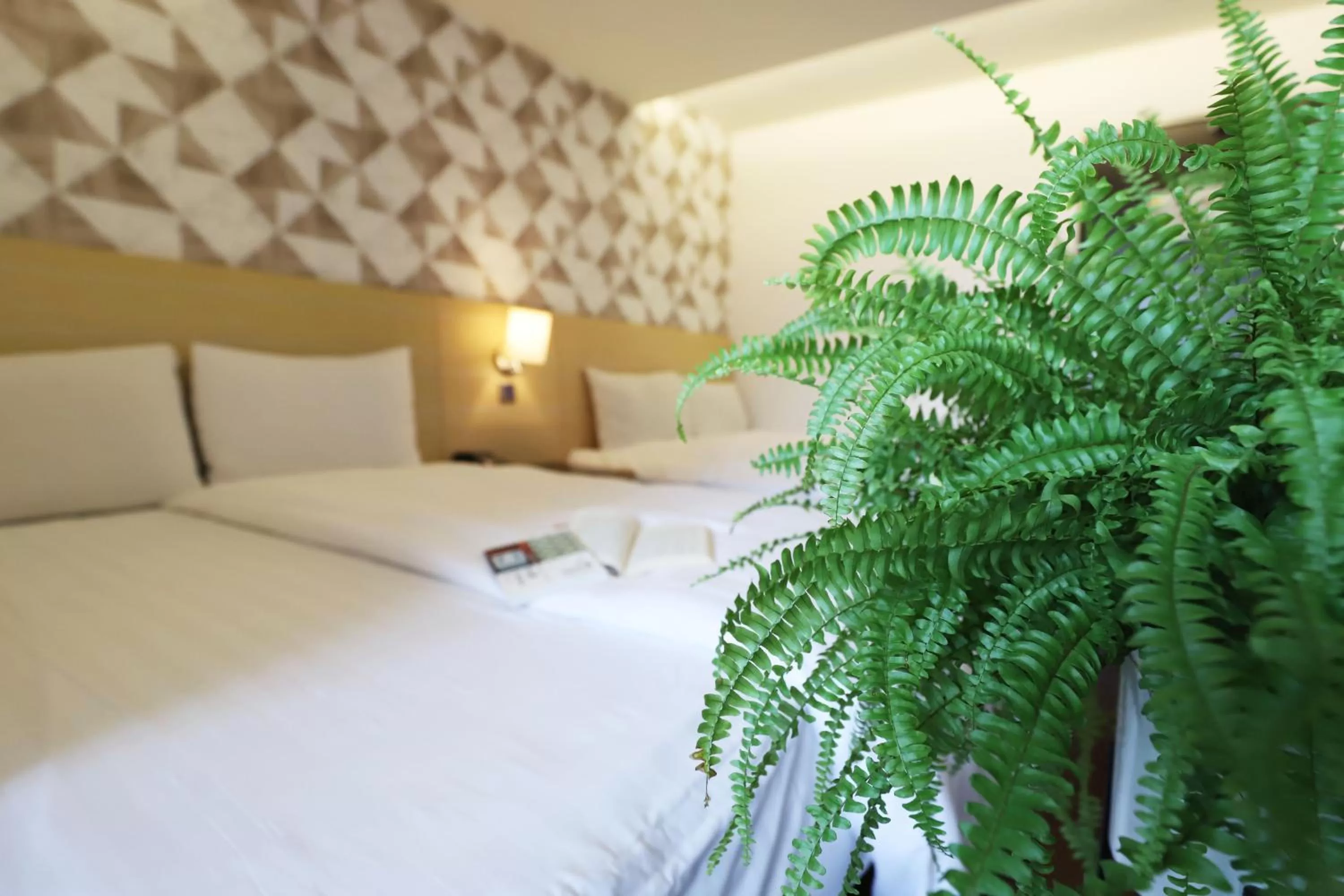 Photo of the whole room, Bed in Dream 12 Hotel