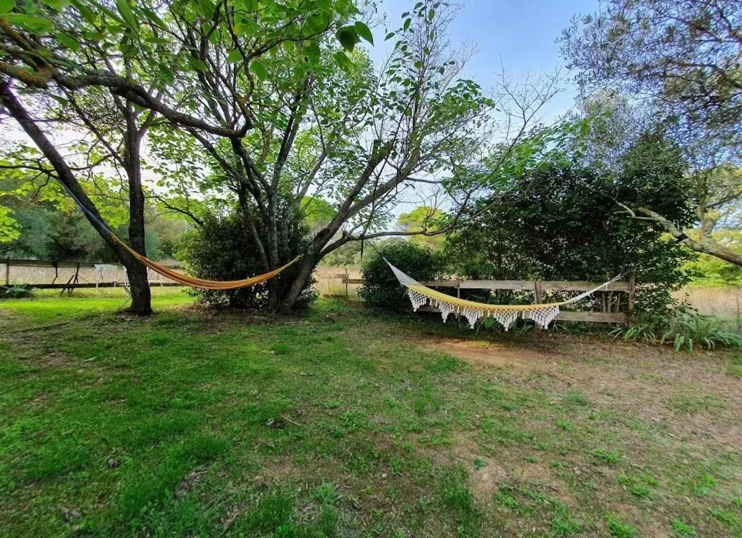 Garden in Aux berges du pont du gard