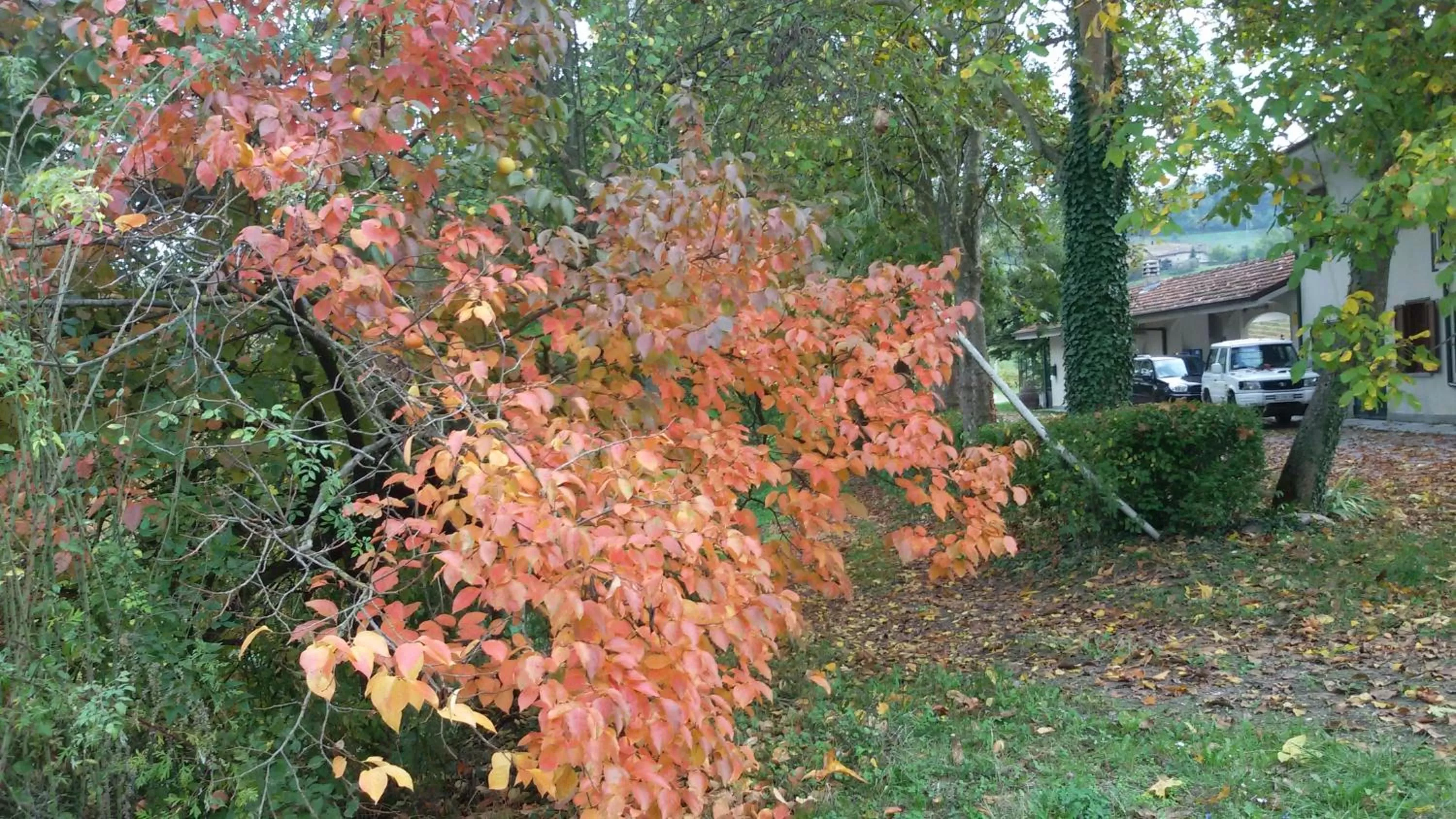 Natural landscape in Cascina Torello