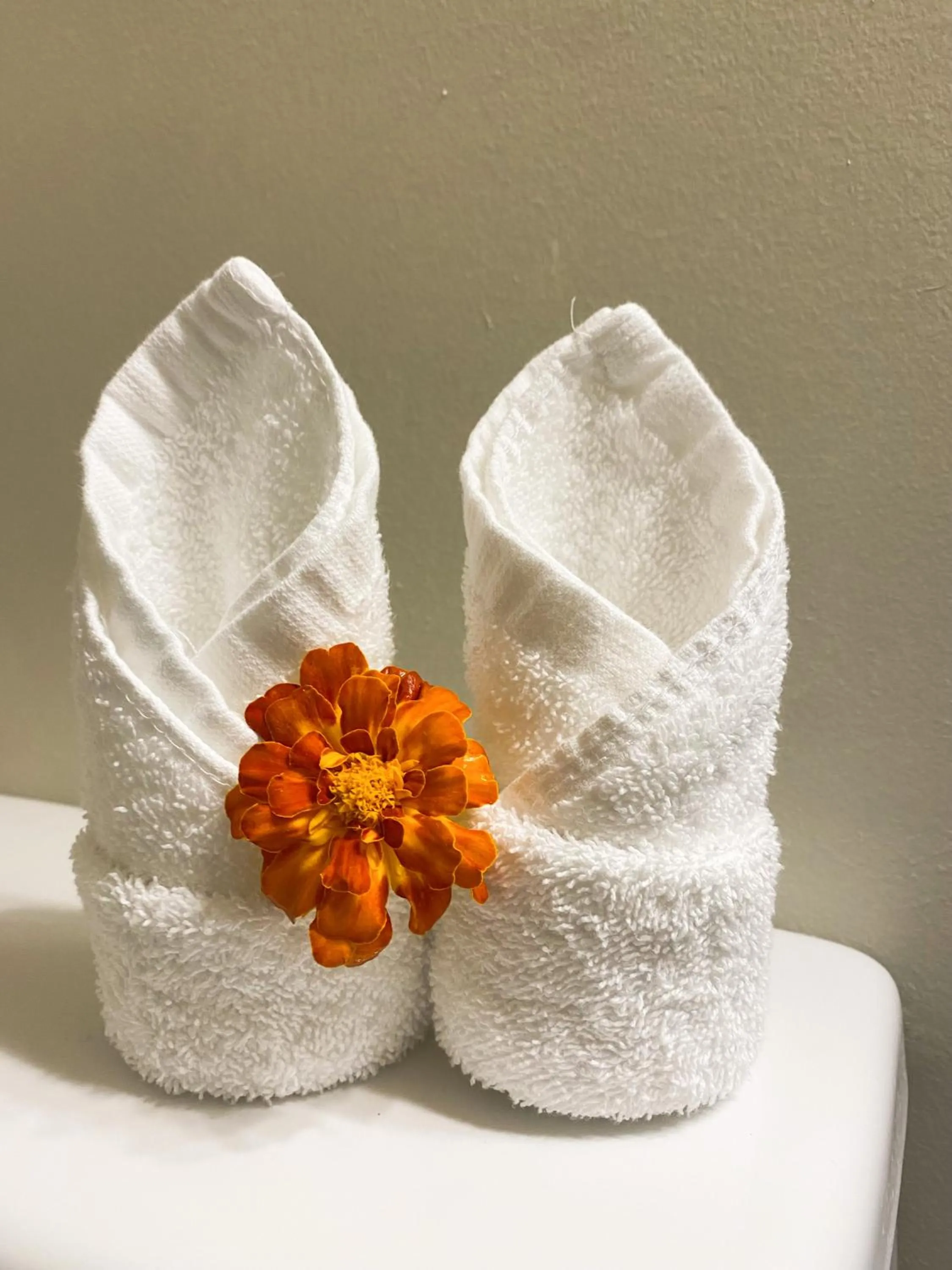 towels in Bear's Claw Lodge