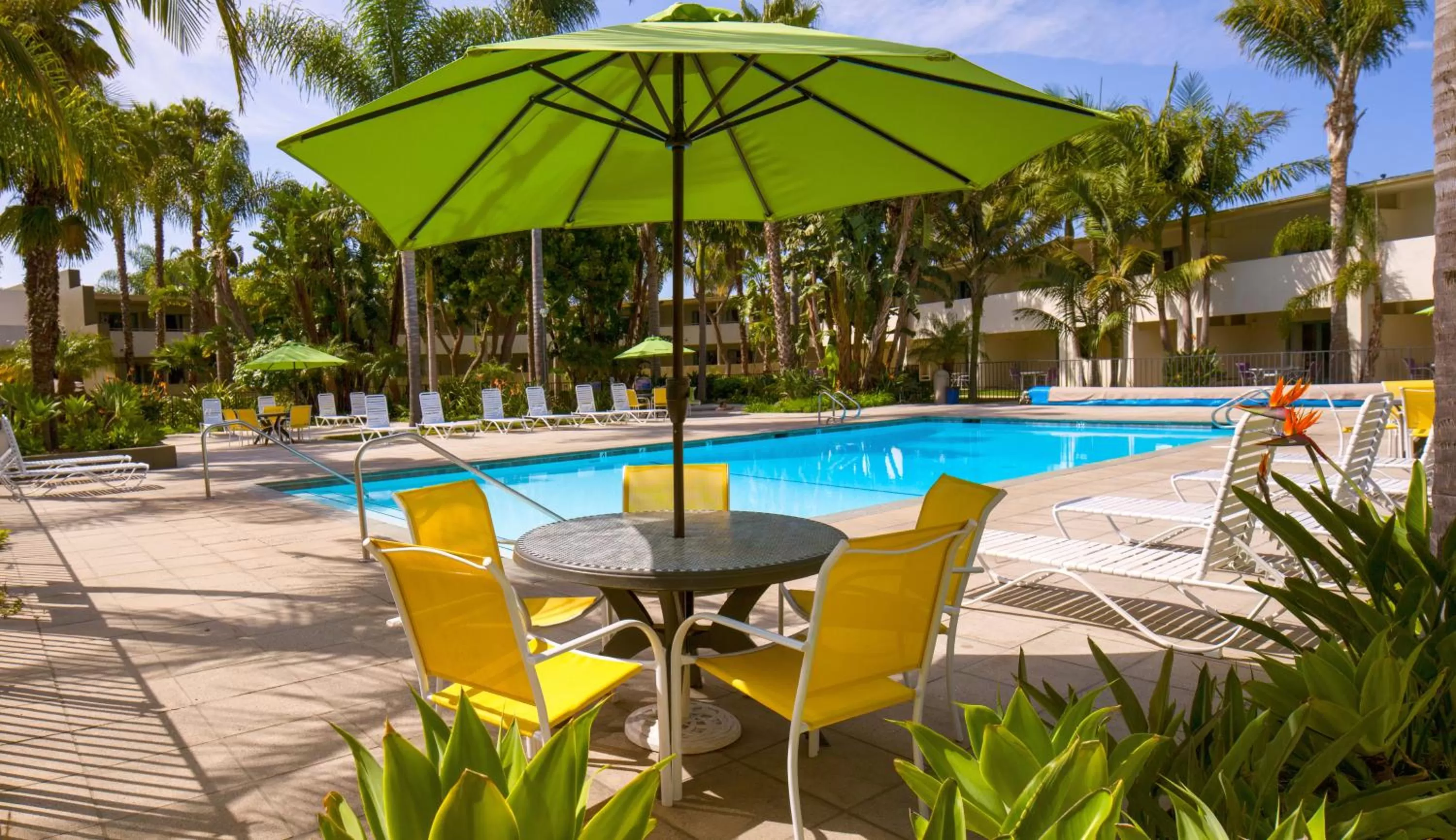 Swimming pool in Lemon Tree Inn
