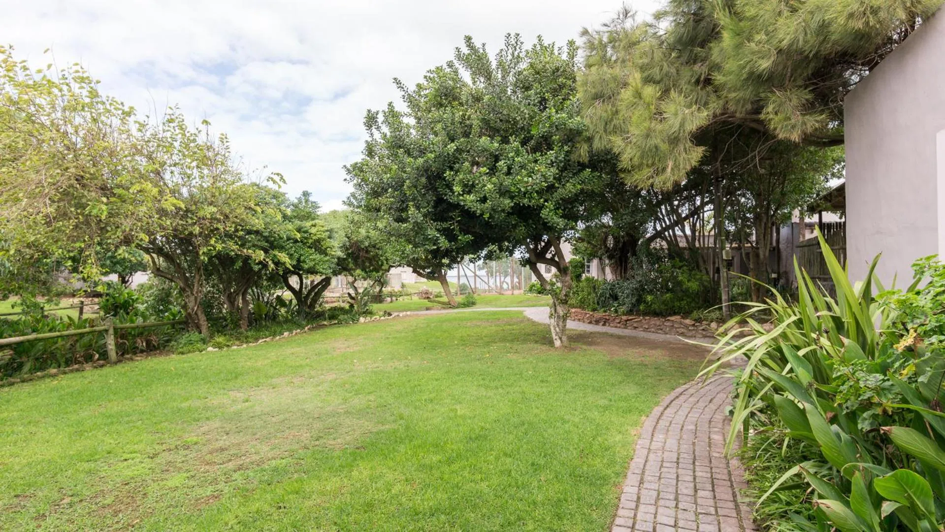 Garden view in Blue Bay Lodge
