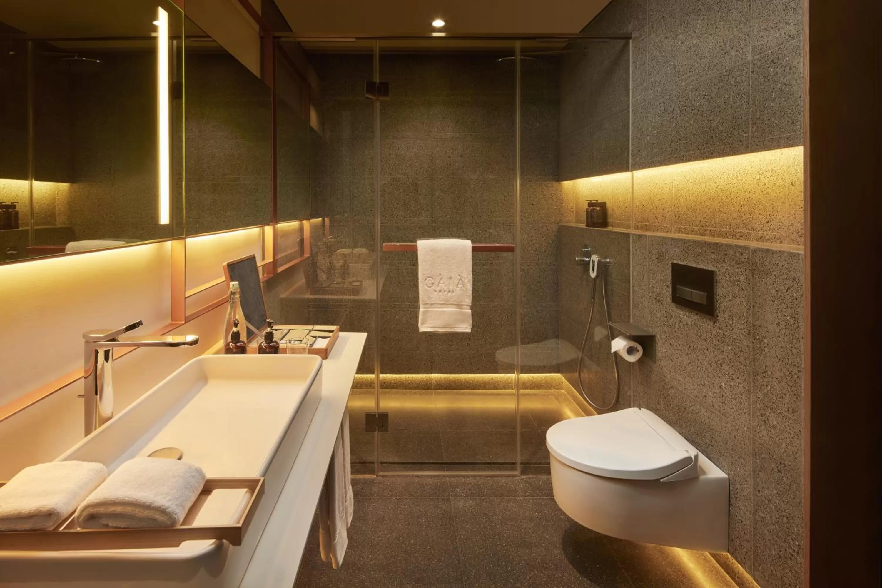 Deluxe Twin City View with Balcony in The Gaia Hotel Bandung