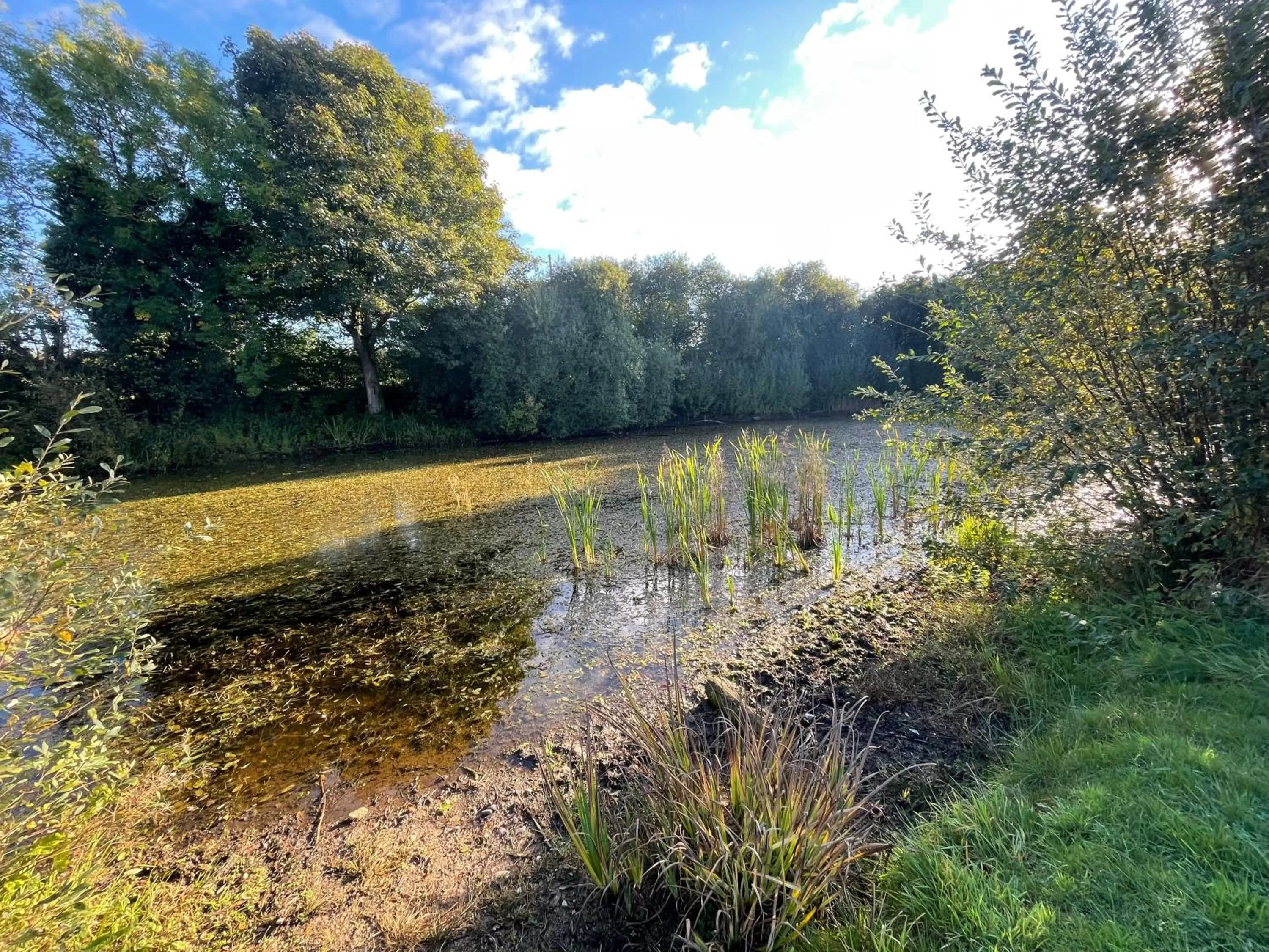 Natural landscape in Eagle House - Award Winning B&B and Apartment