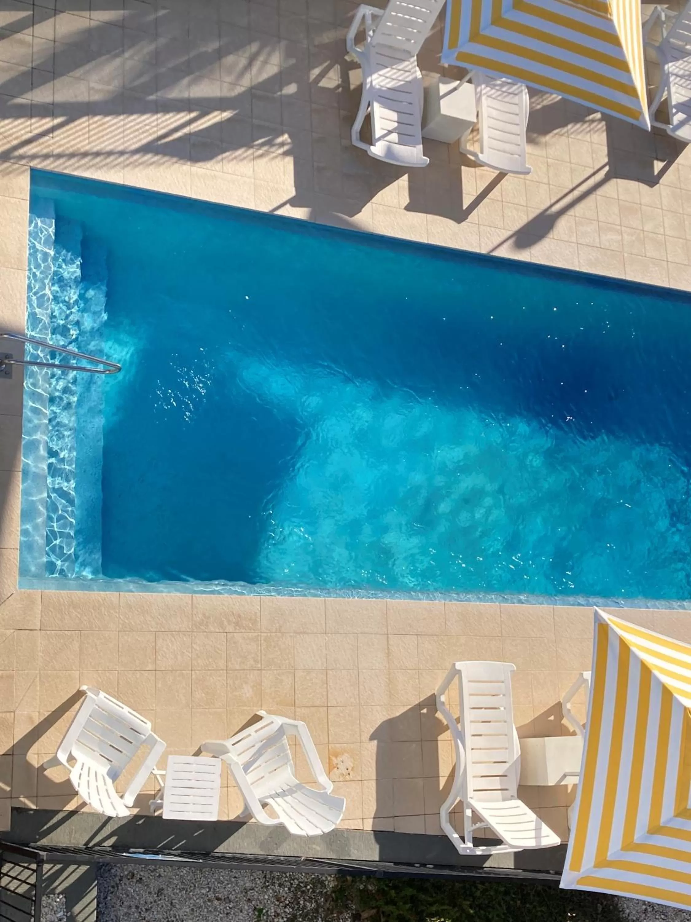 Swimming pool in The Mid Pacific