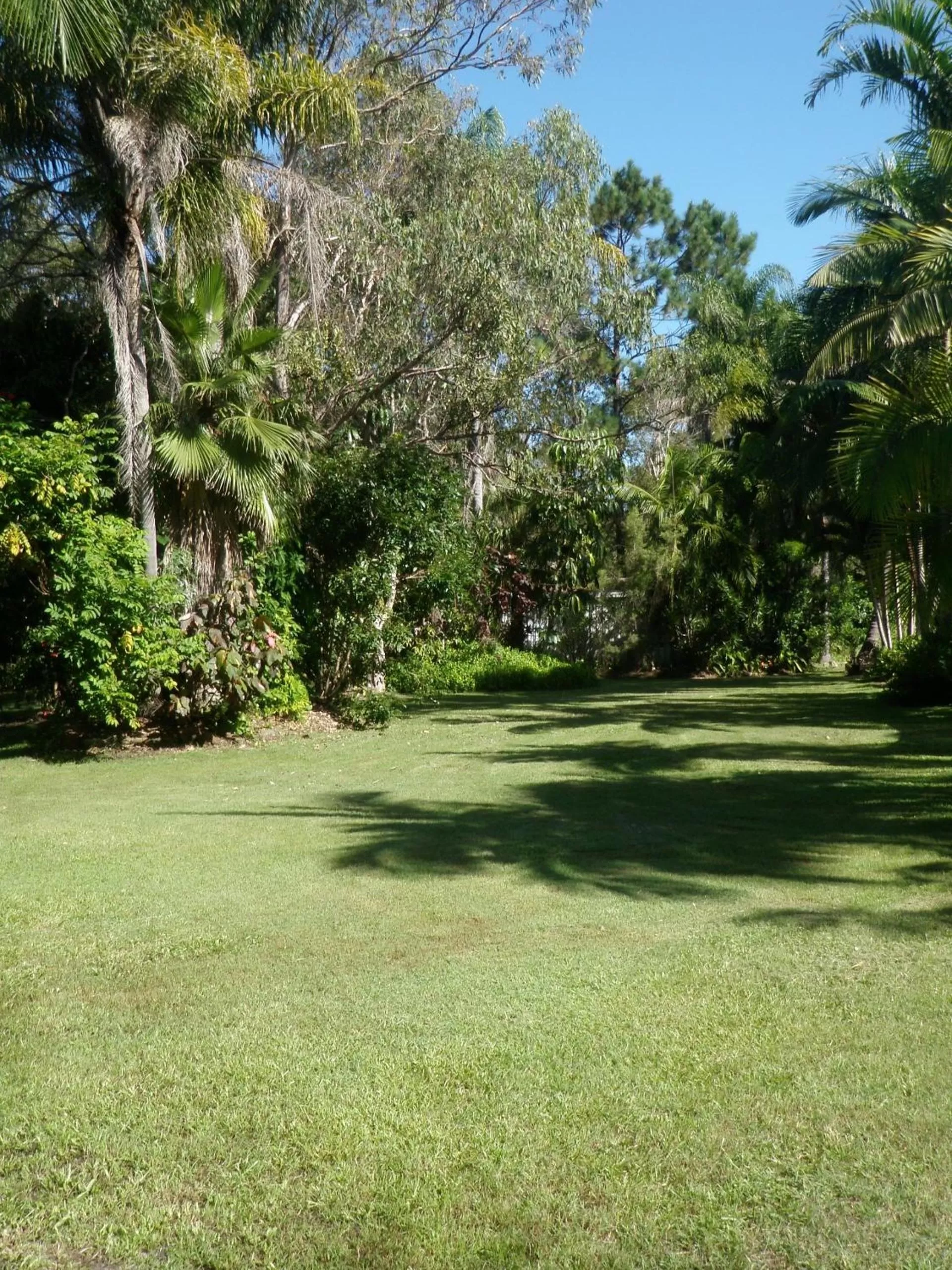 Garden in Tin Can Bay Motel