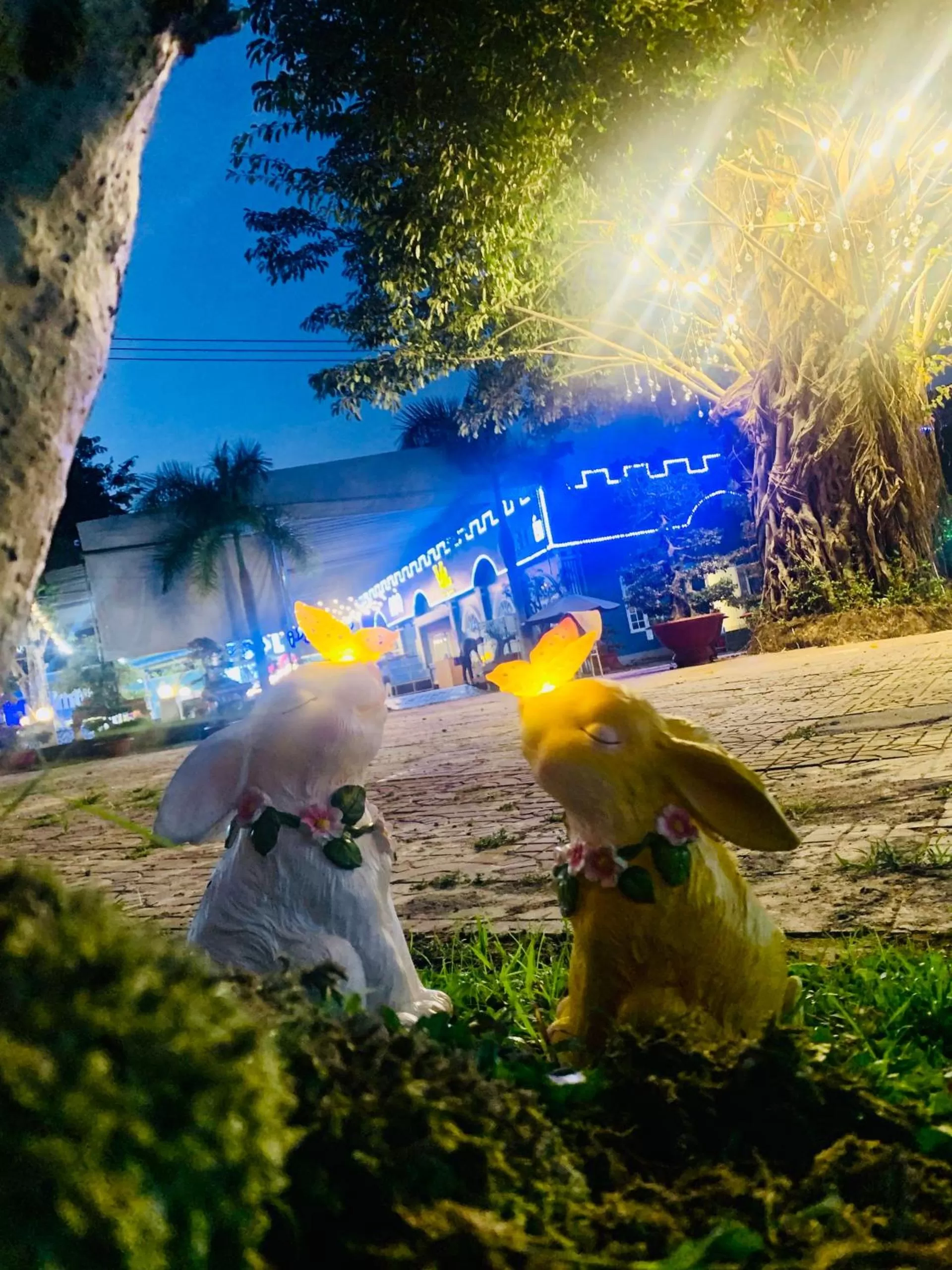 D'Villa Hotel - Homestay