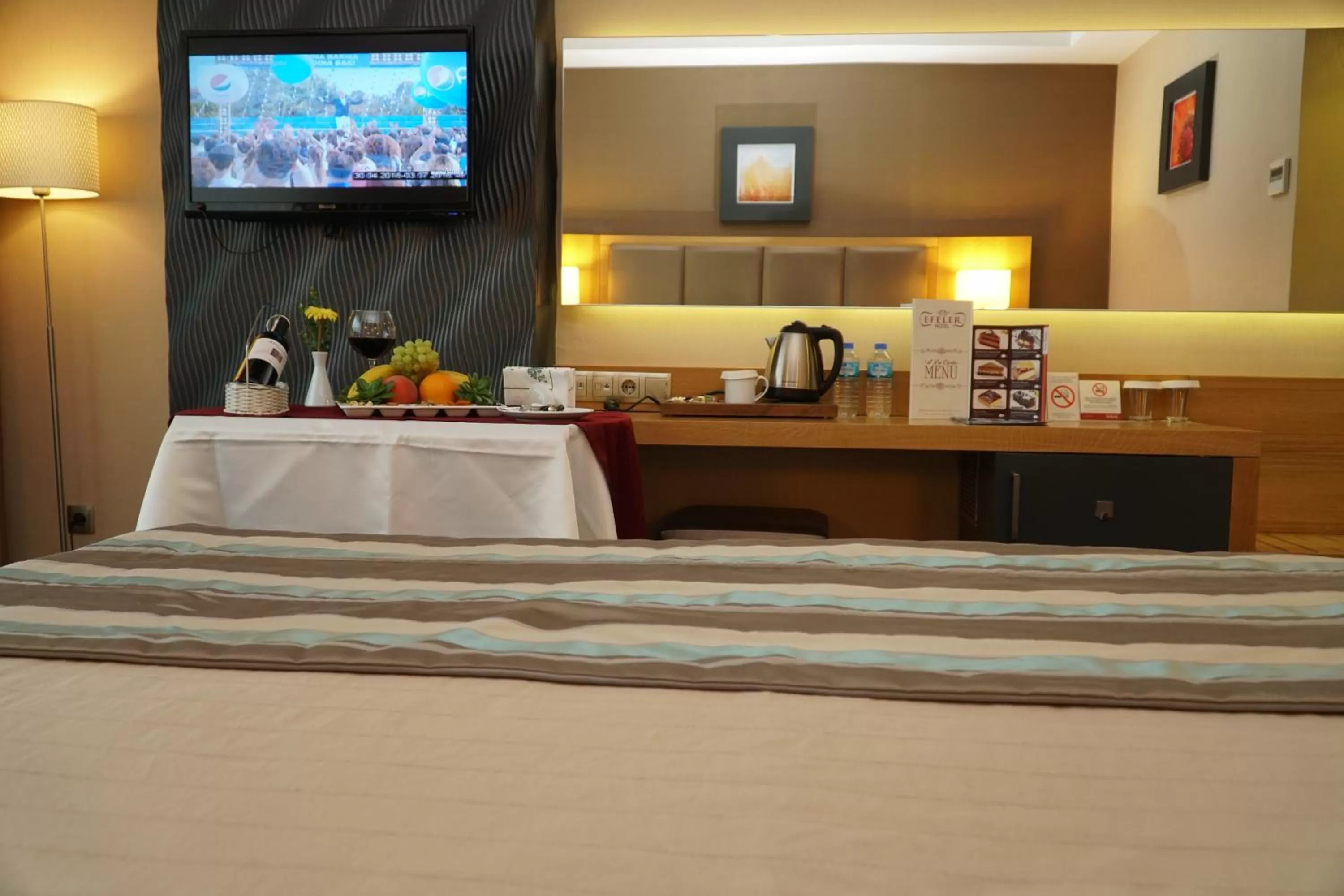 TV and multimedia in Efeler Hotel