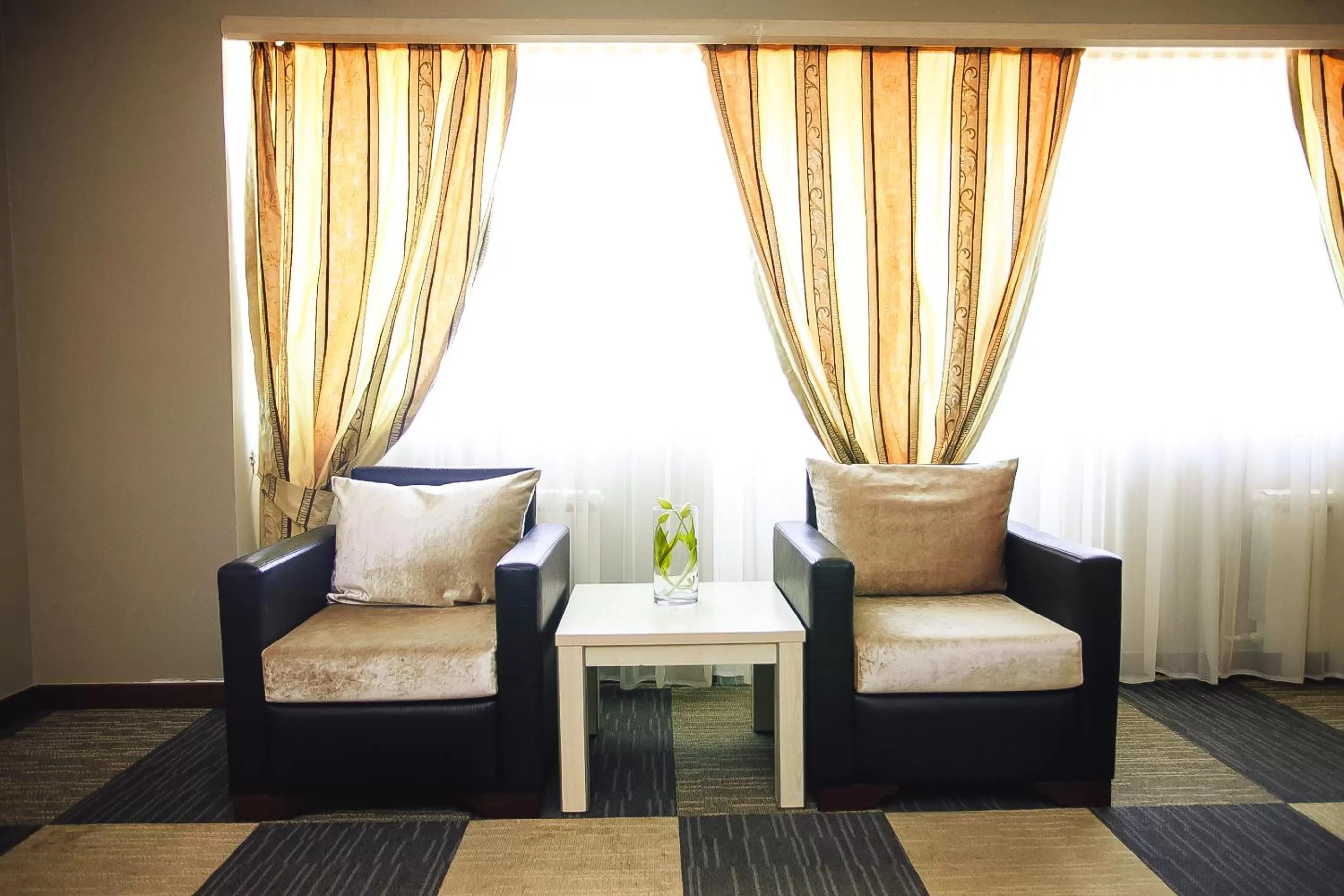 Seating Area in Aktau Hotel